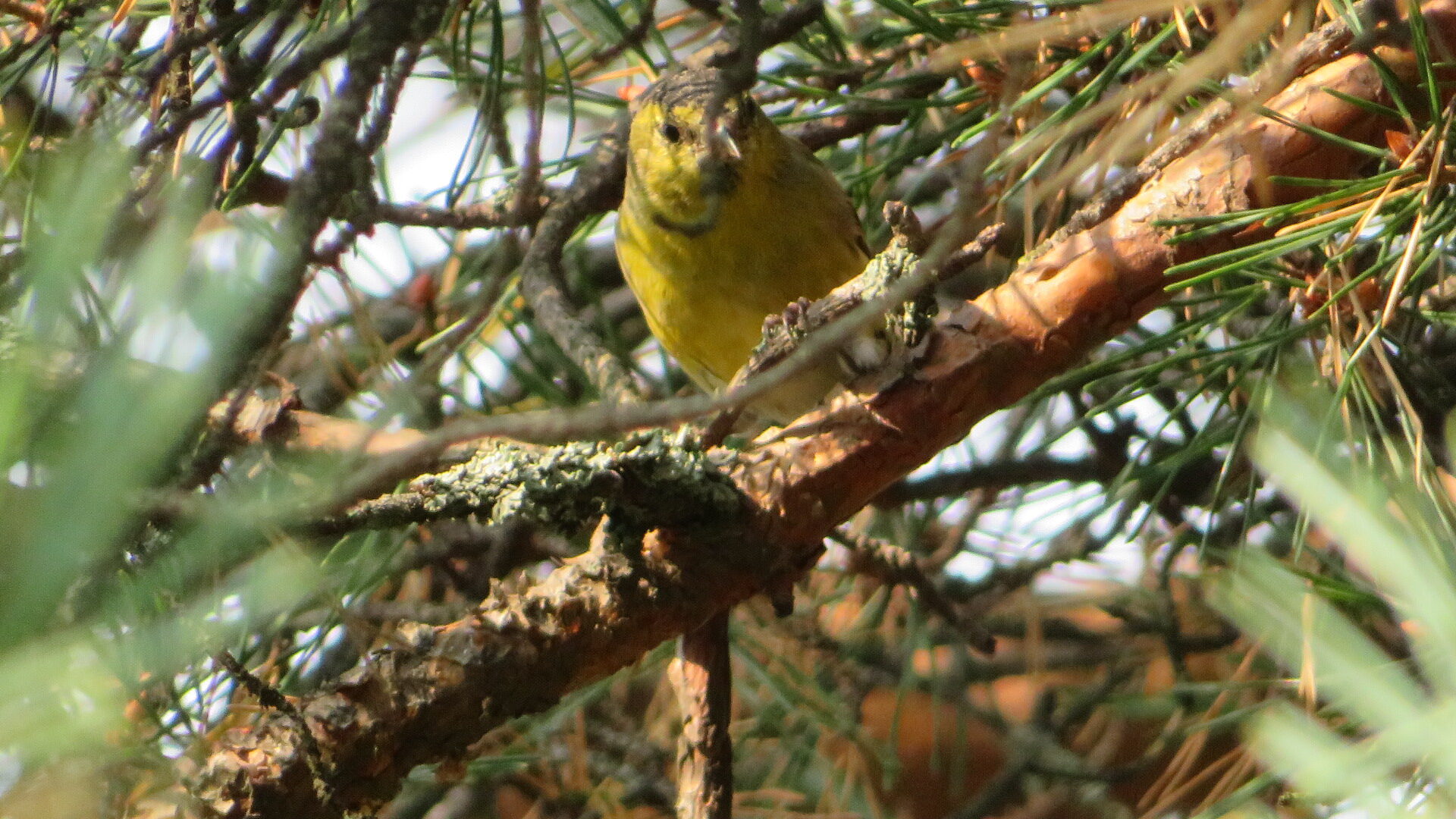 Valokuvaaja: Risto Kangassalo