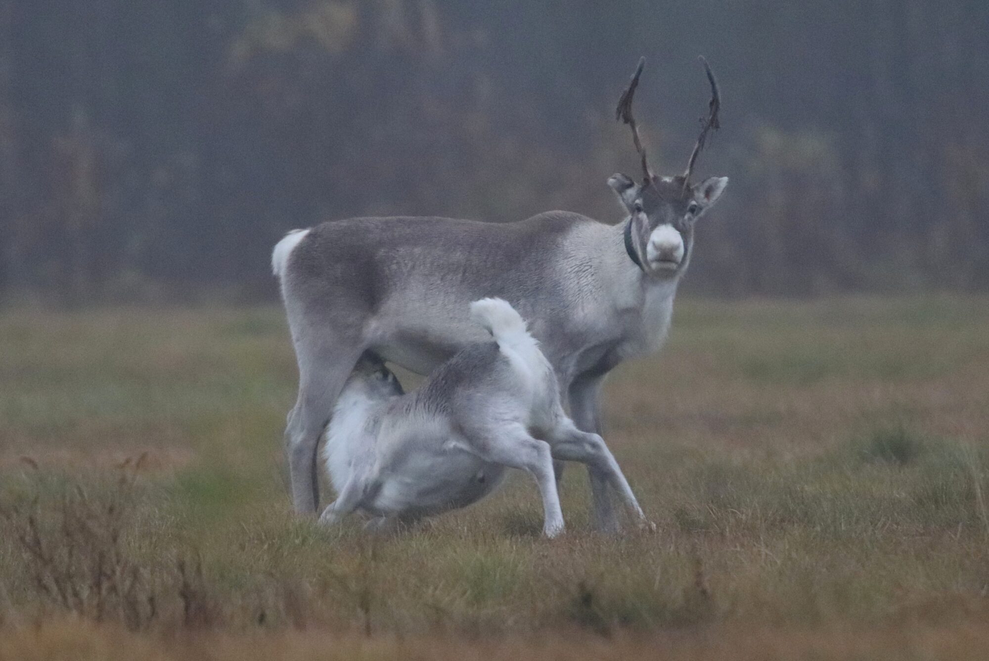 Valokuvaaja: Irja Lehtinen
