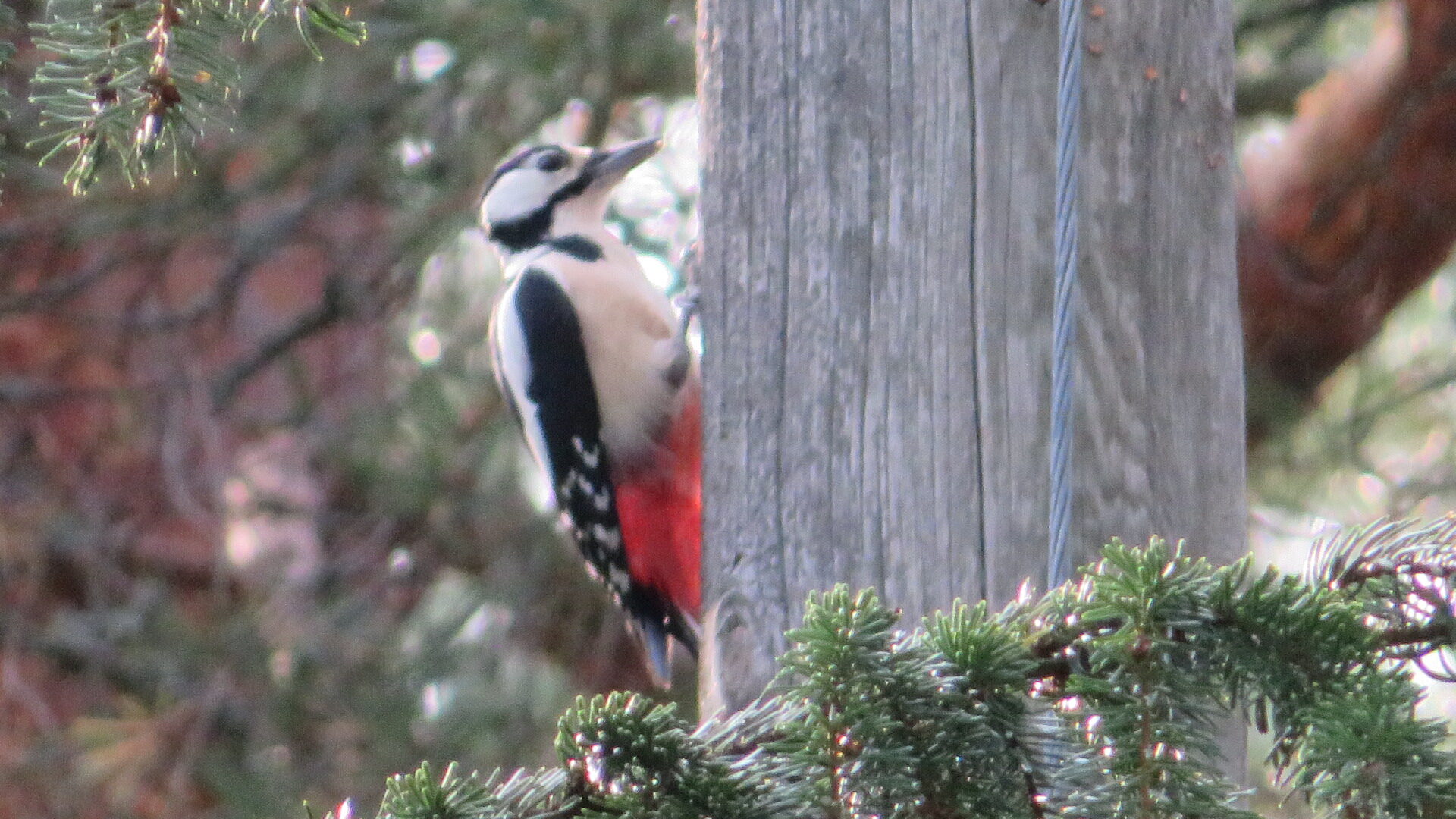 Valokuvaaja: Risto Kangassalo Valokuvaaja: Risto Kangassalo