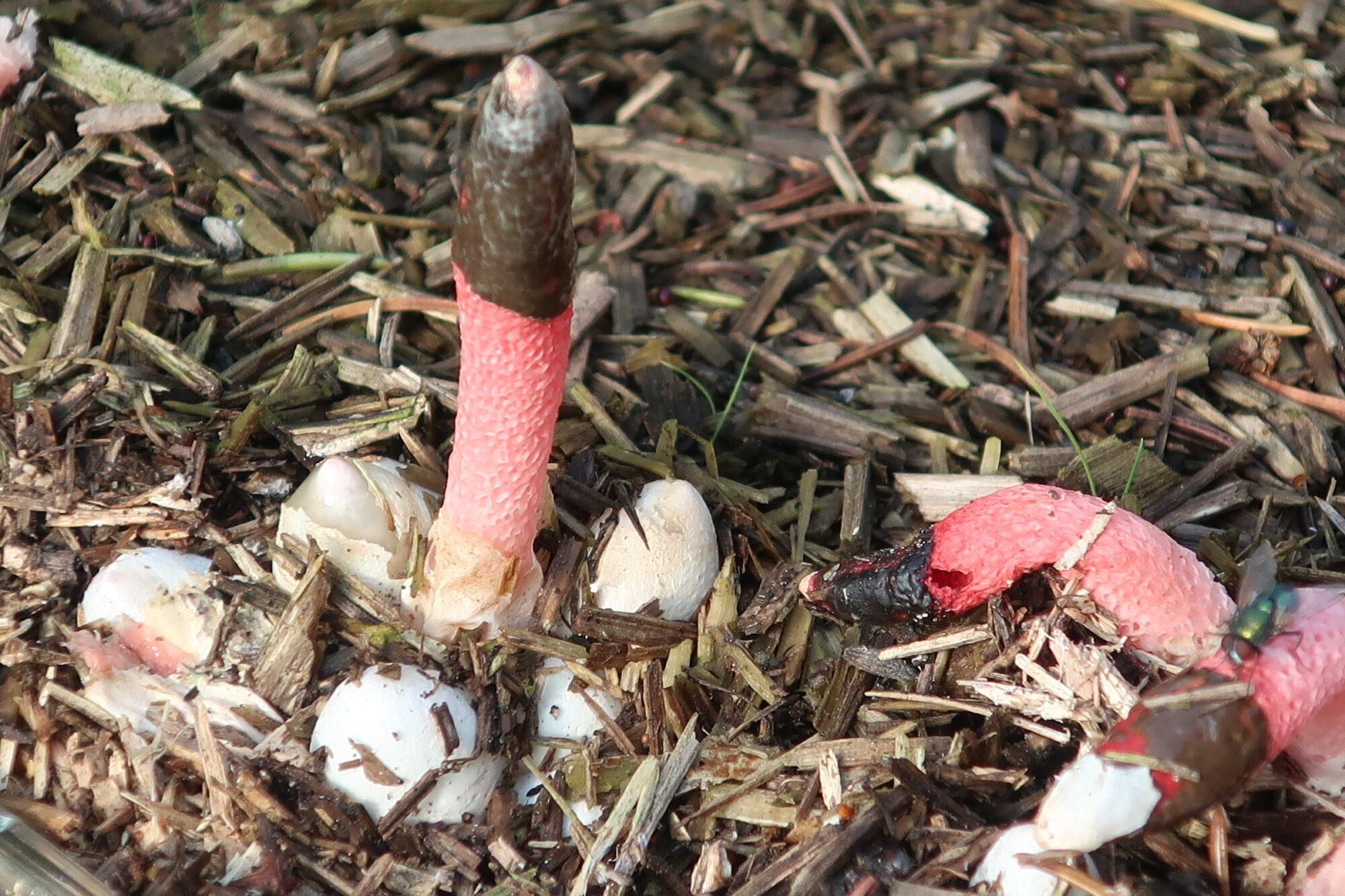 Valokuvaaja: Arja Pohto