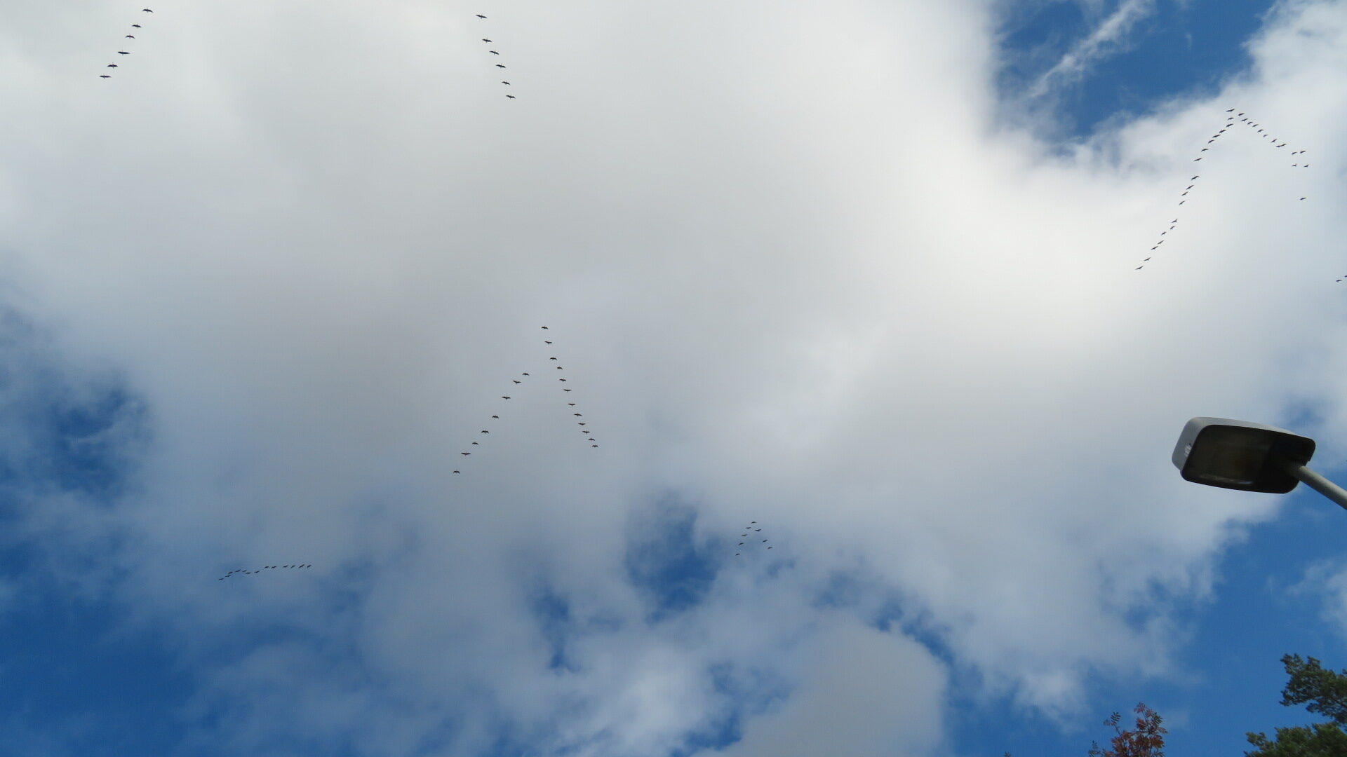 Valokuvaaja: Risto Kangassalo