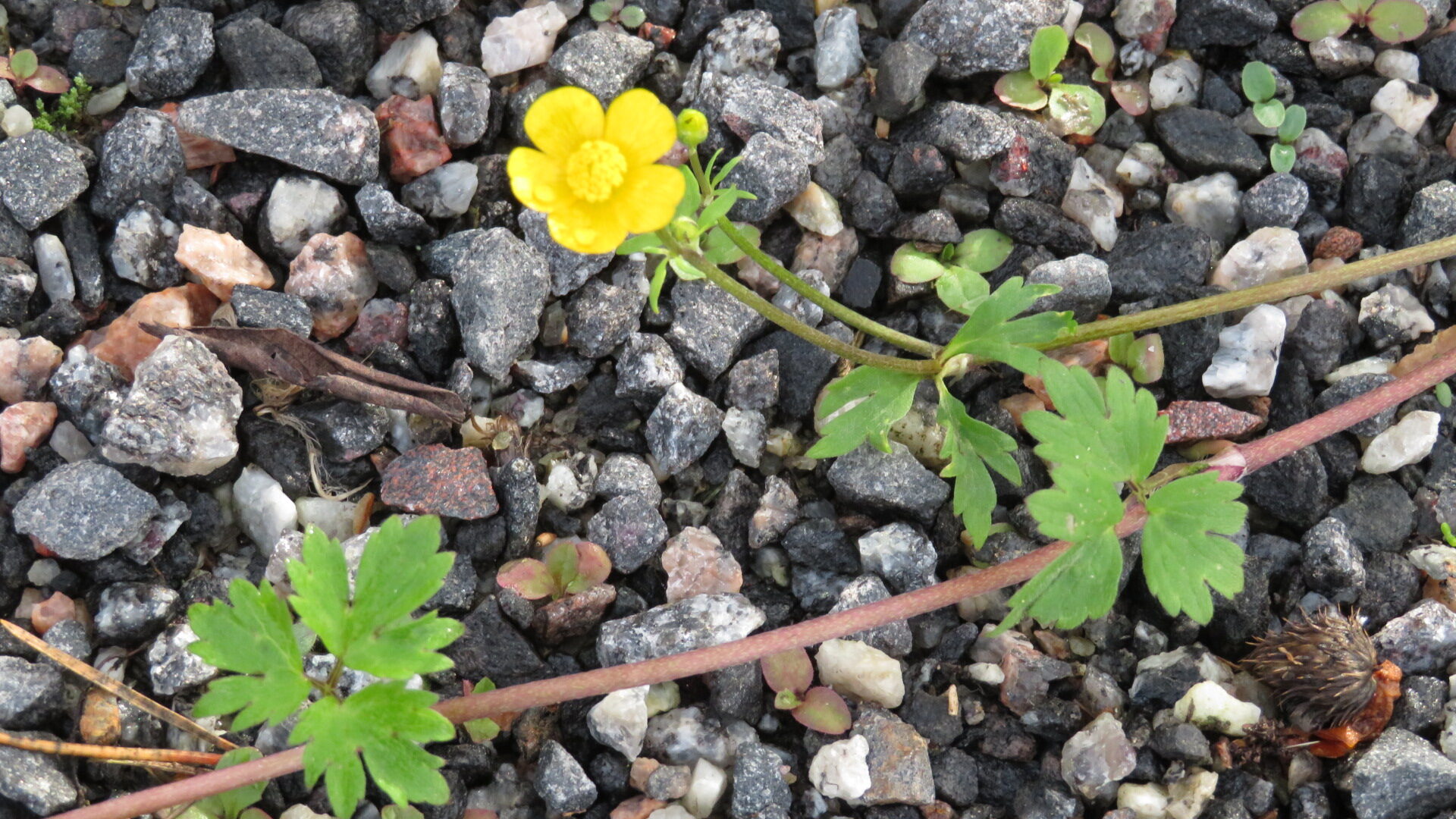 Valokuvaaja: Risto Kangassalo Valokuvaaja: Risto Kangassalo