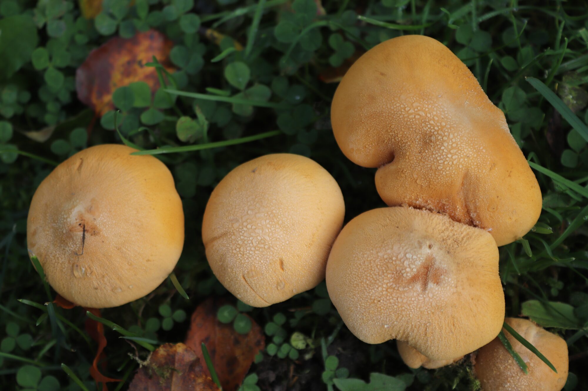 Valokuvaaja: Irja Lehtinen