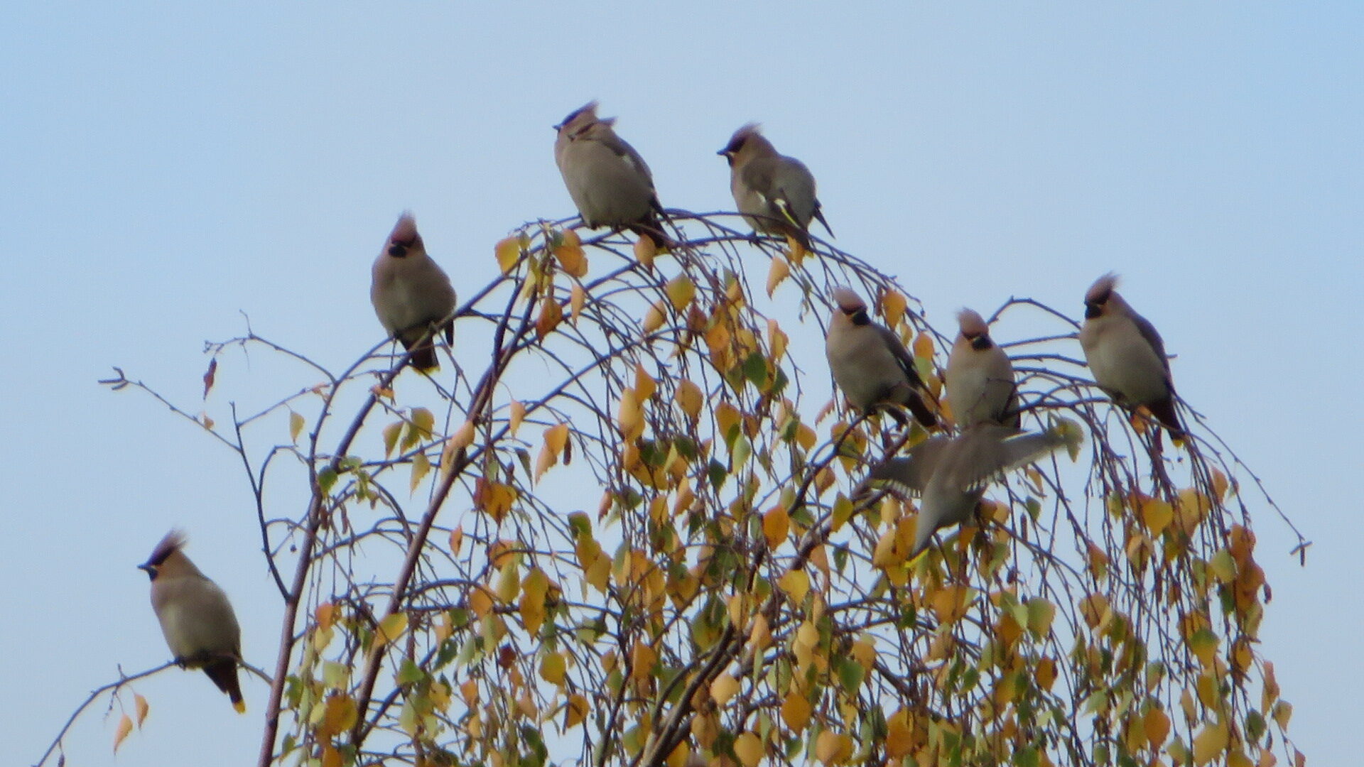 Valokuvaaja: Risto Kangassalo