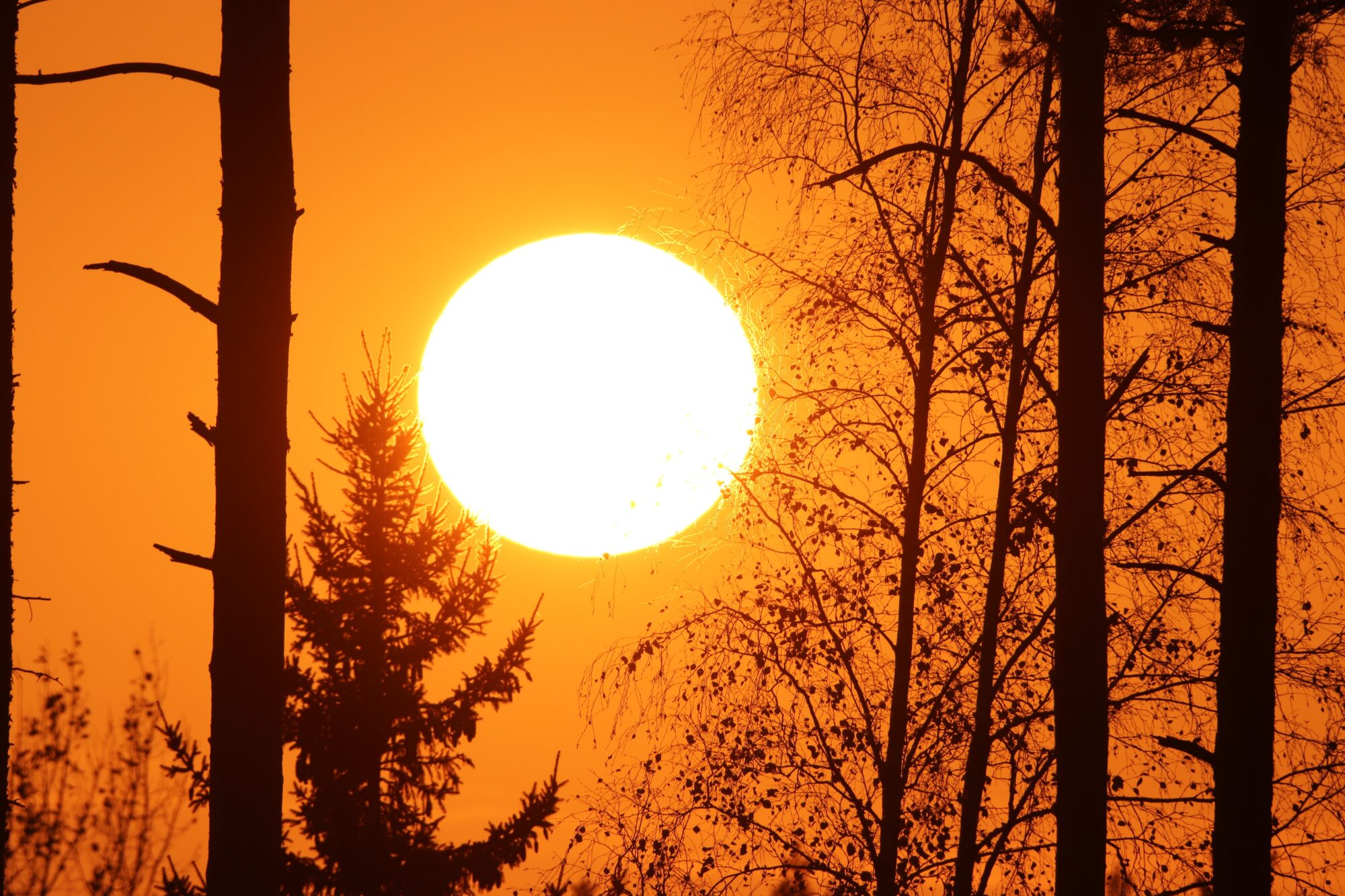 Valokuvaaja: Irja Lehtinen