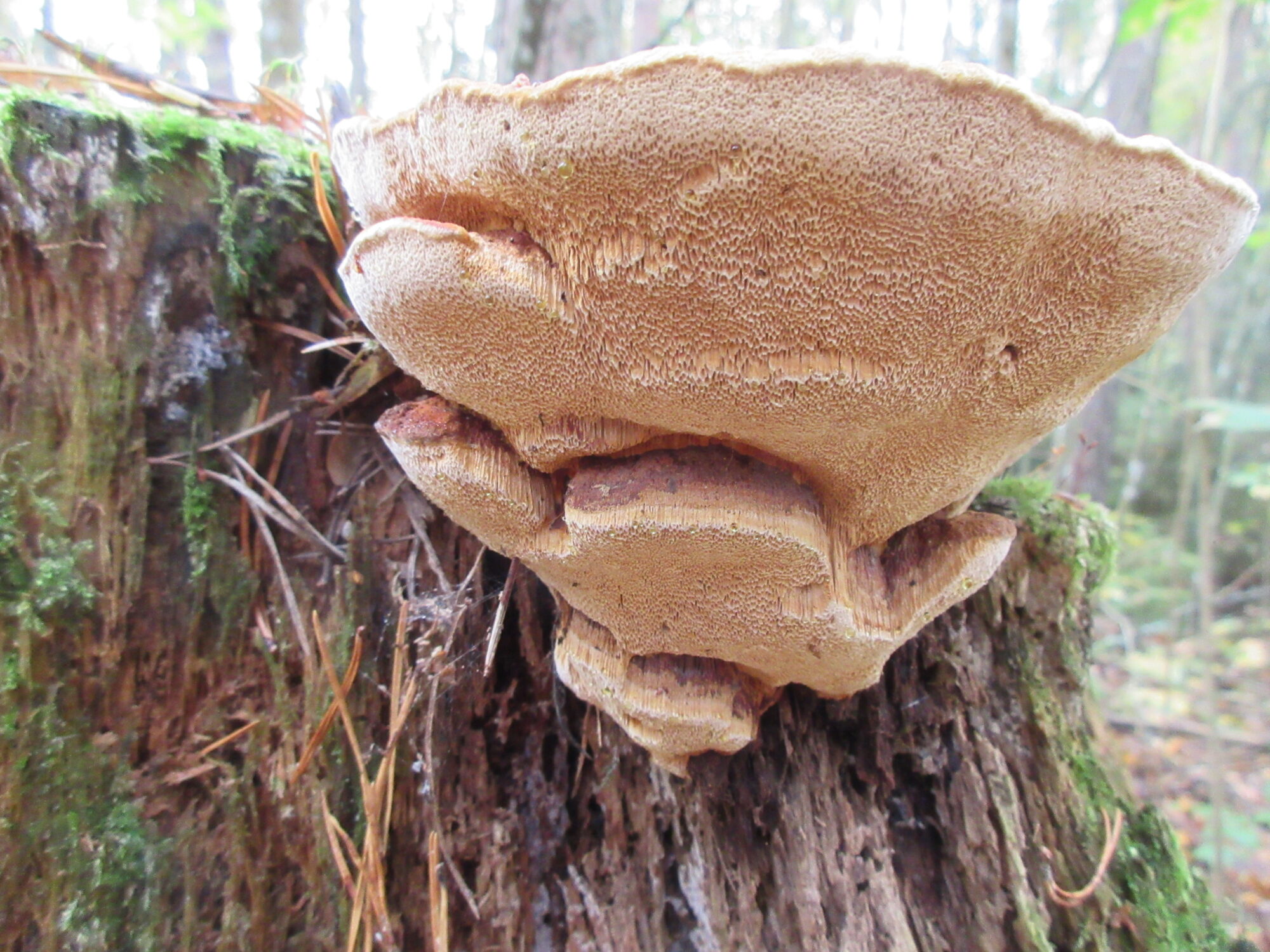 Valokuvaaja: Terttu Rantanen