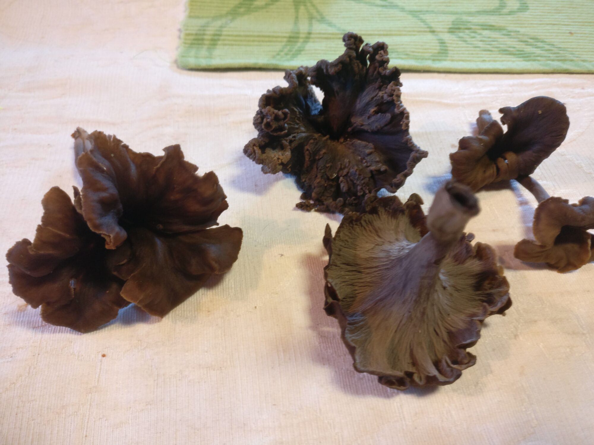 Valokuvaaja: Mari Autjoki-Hakala