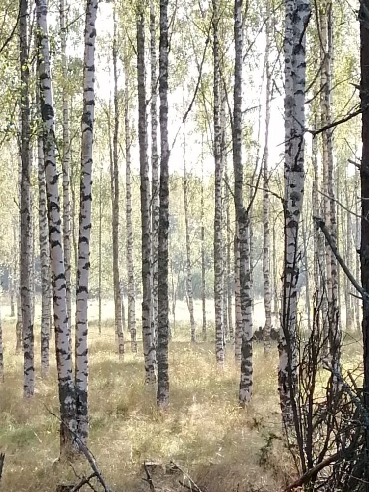 Valokuvaaja: Juha-Pekka Autio