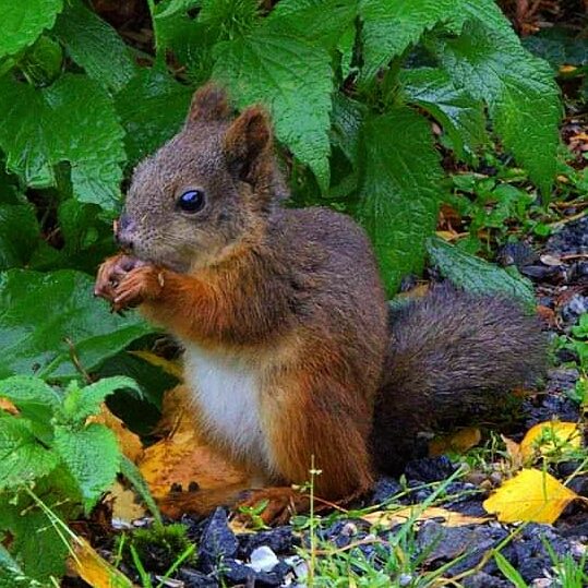 Valokuvaaja: Tapio Keinonen