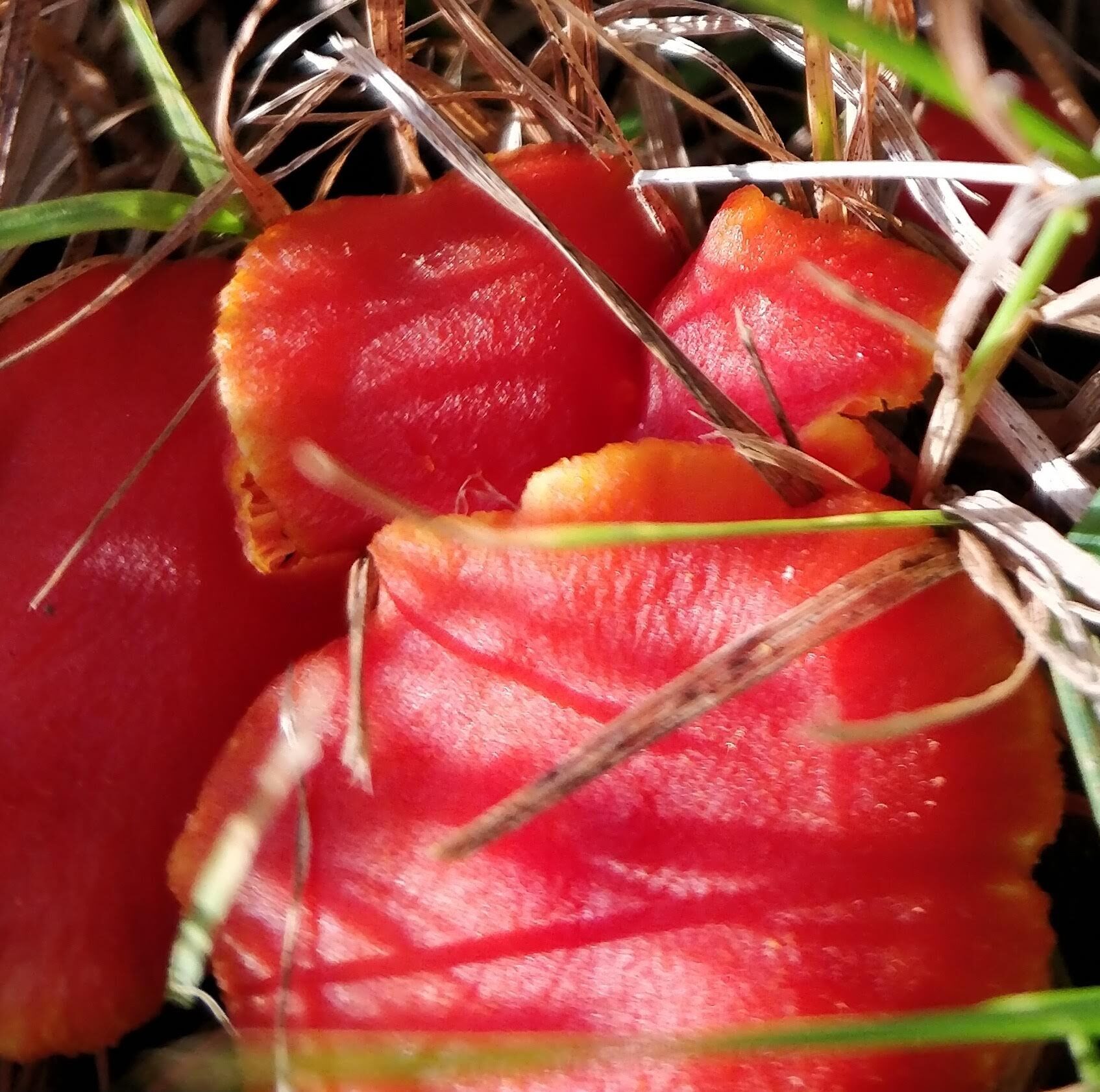 Valokuvaaja: Eva Iisakka