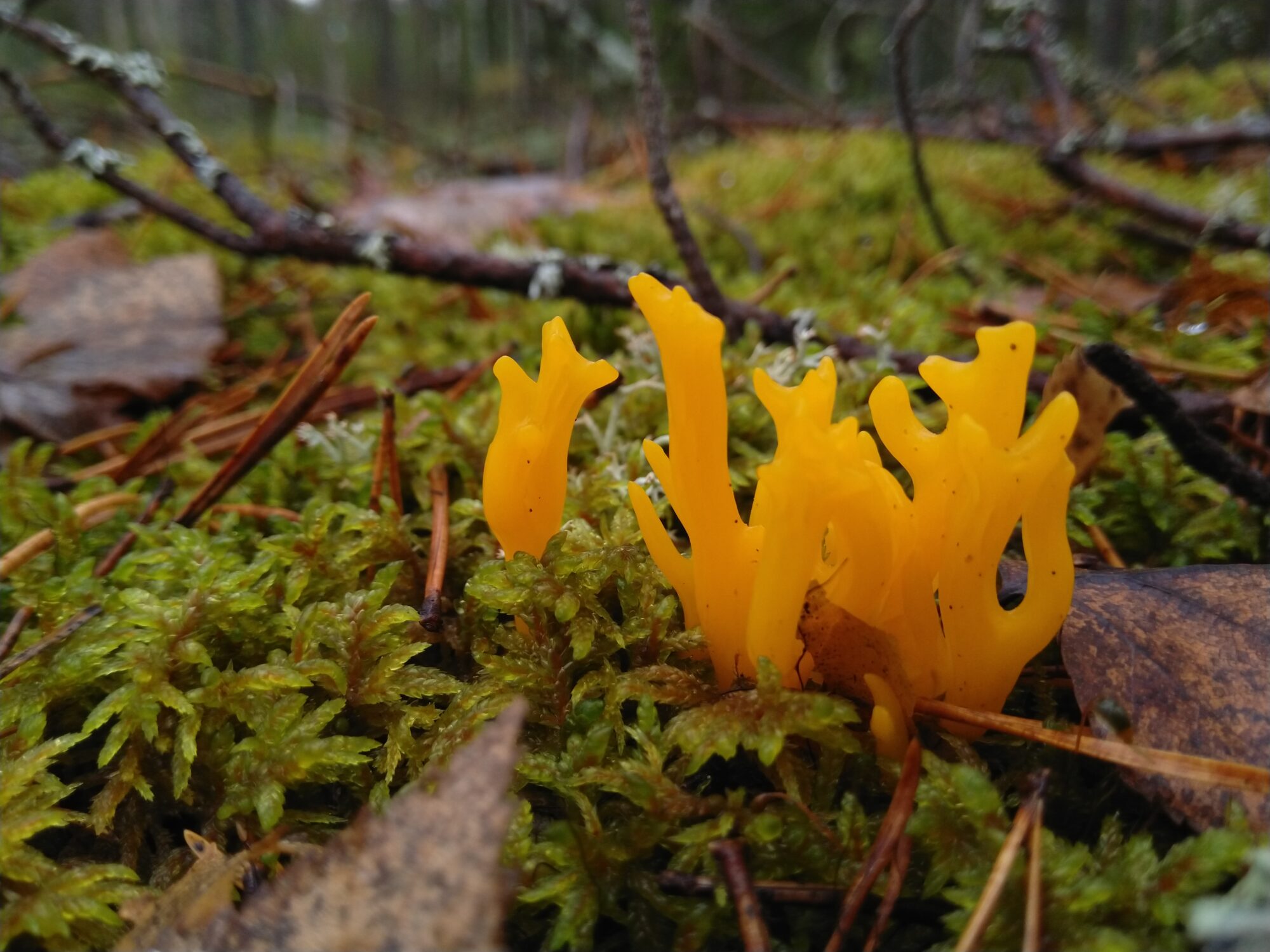 Valokuvaaja: Marja Nevalainen