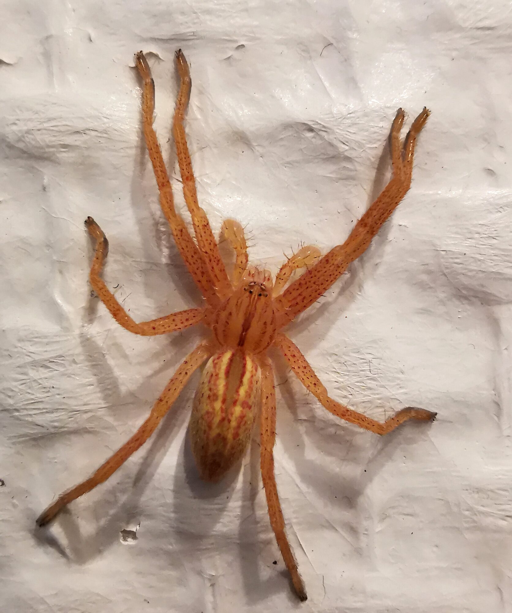 Valokuvaaja: Satu Kuningas