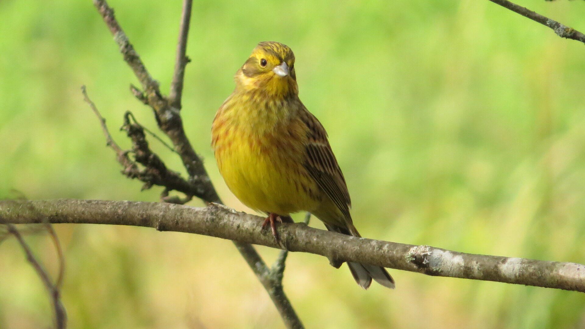 Valokuvaaja: Risto Kangassalo Valokuvaaja: Risto Kangassalo