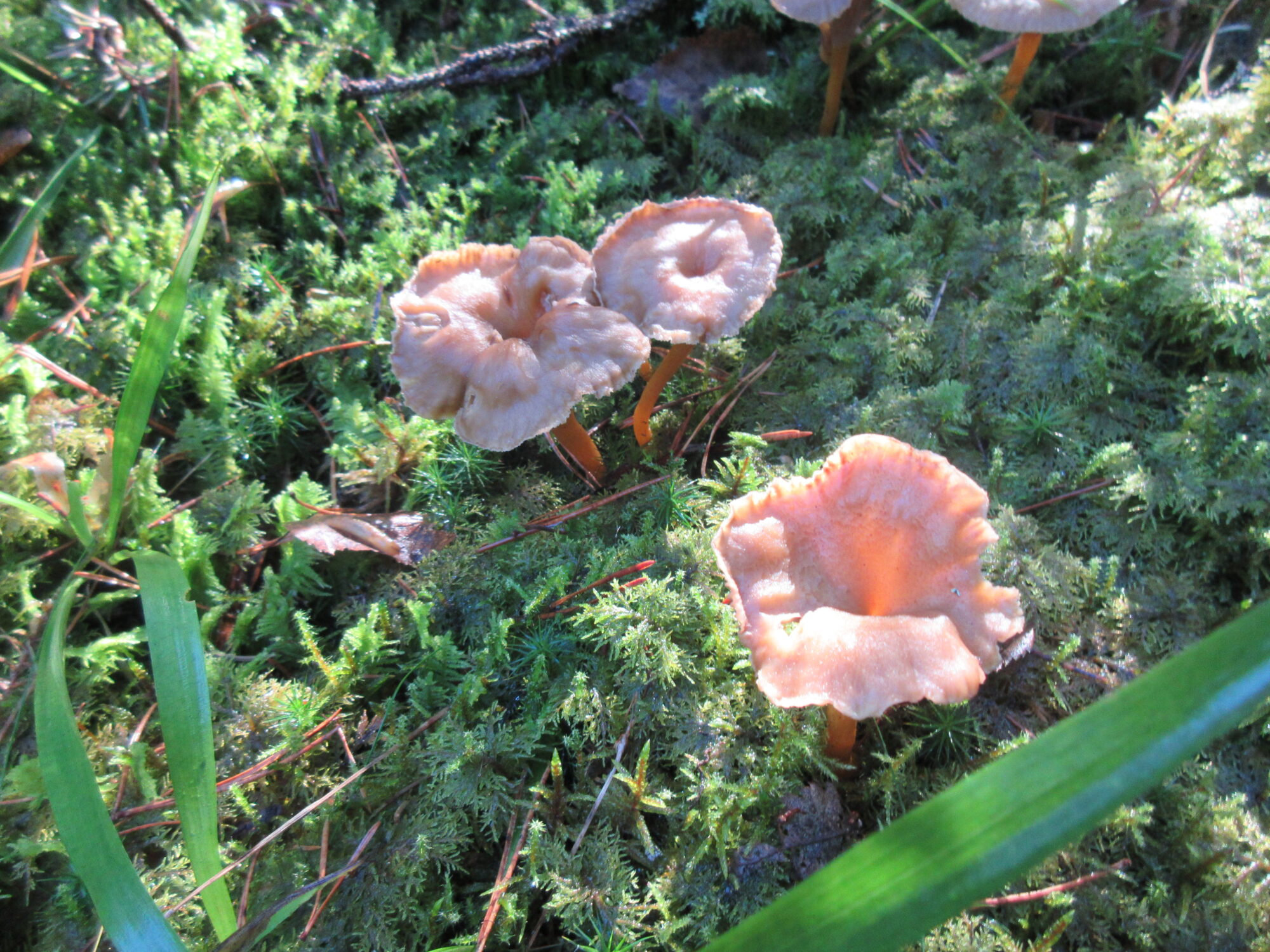 Valokuvaaja: Terttu Rantanen