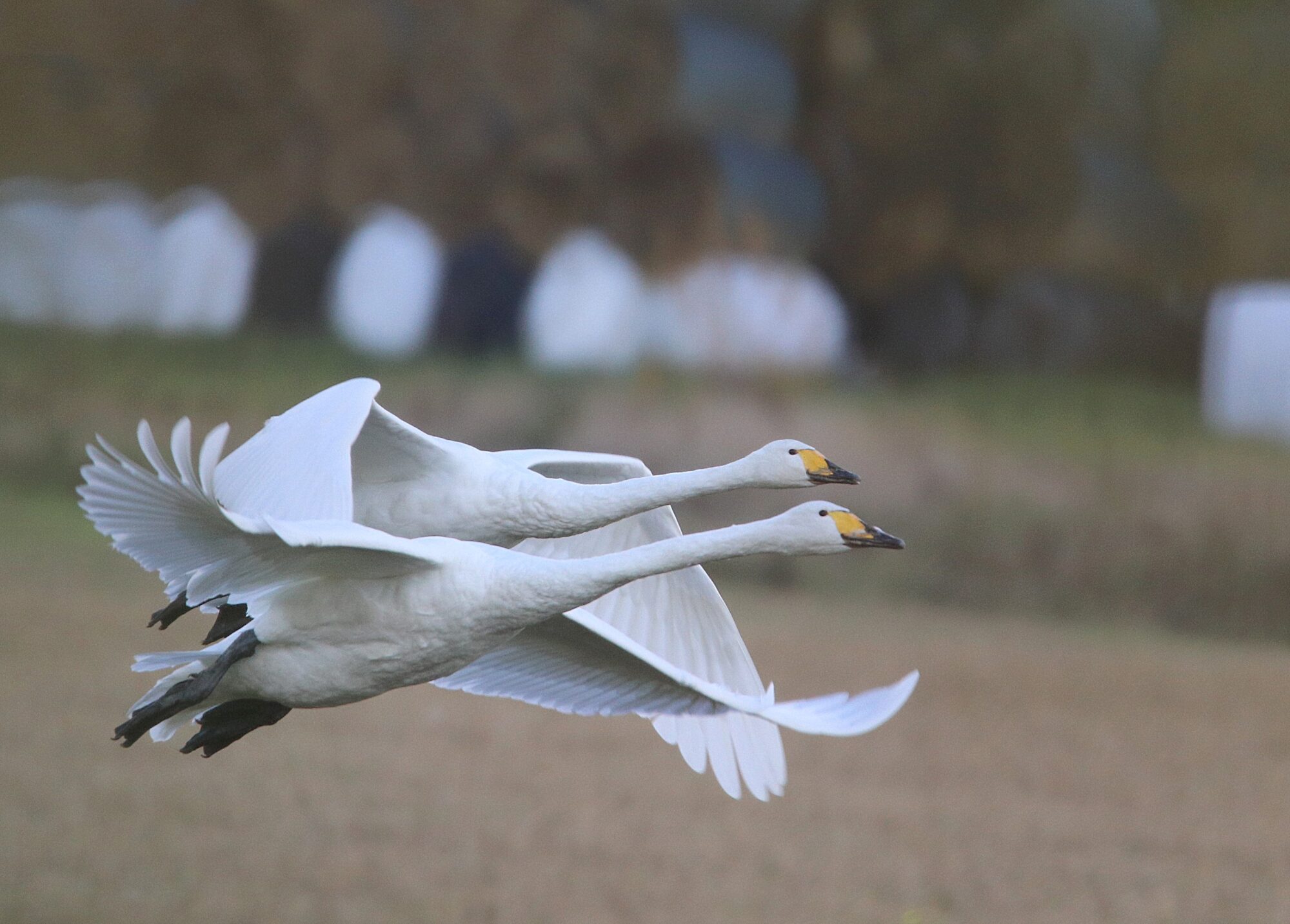 Valokuvaaja: Irja Lehtinen