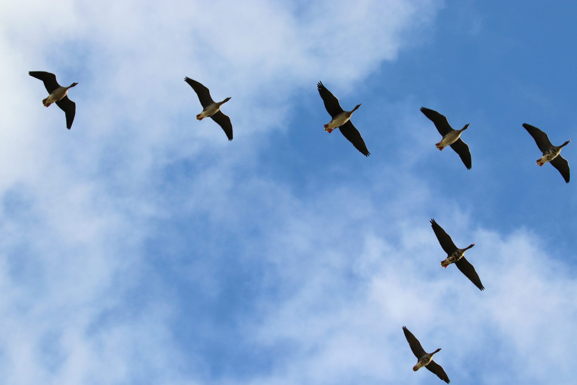 Valokuvaaja: Irja Lehtinen