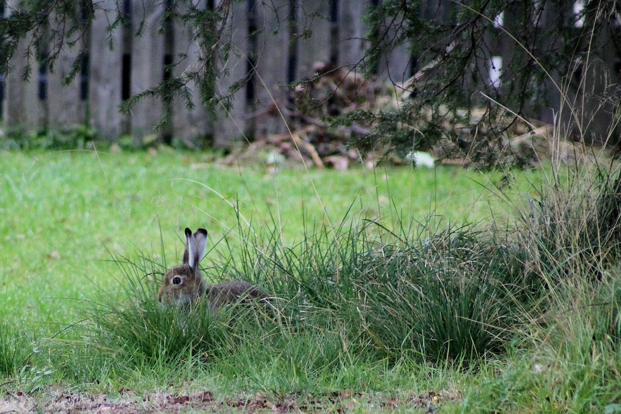 Valokuvaaja: Pirkko Siukonen