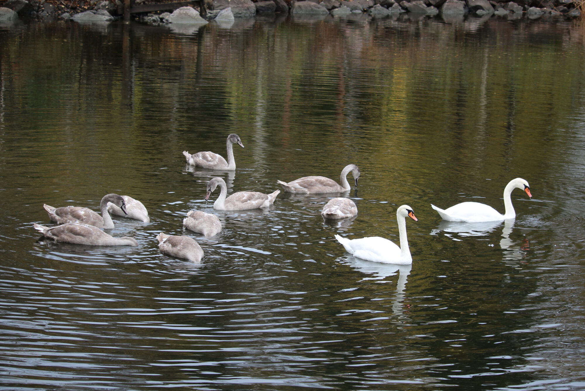 Valokuvaaja: Kirsi-Marja Joenpolvi