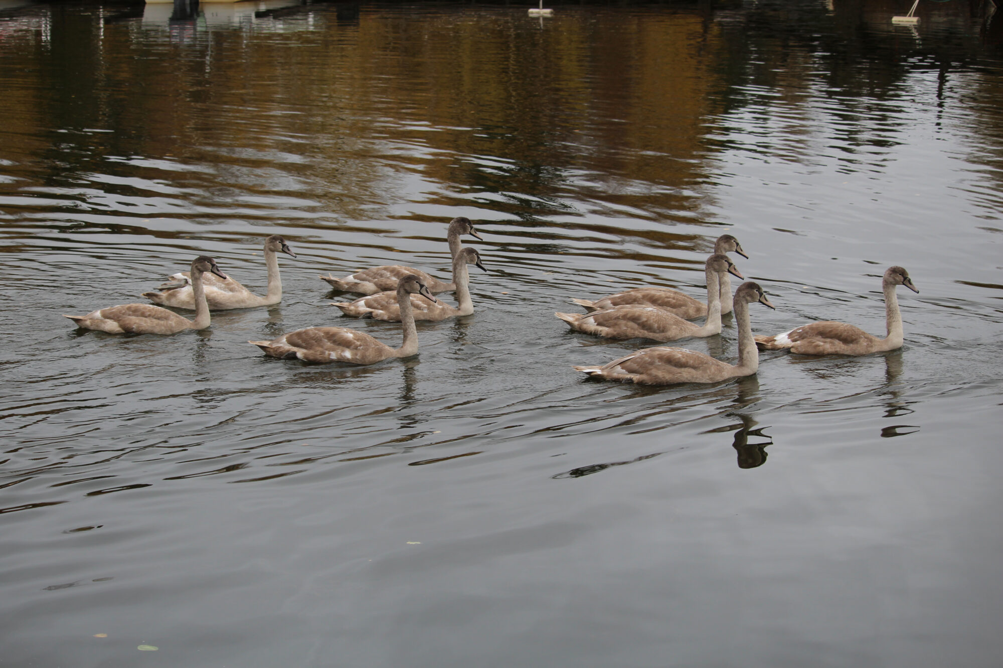 Valokuvaaja: Kirsi-Marja Joenpolvi
