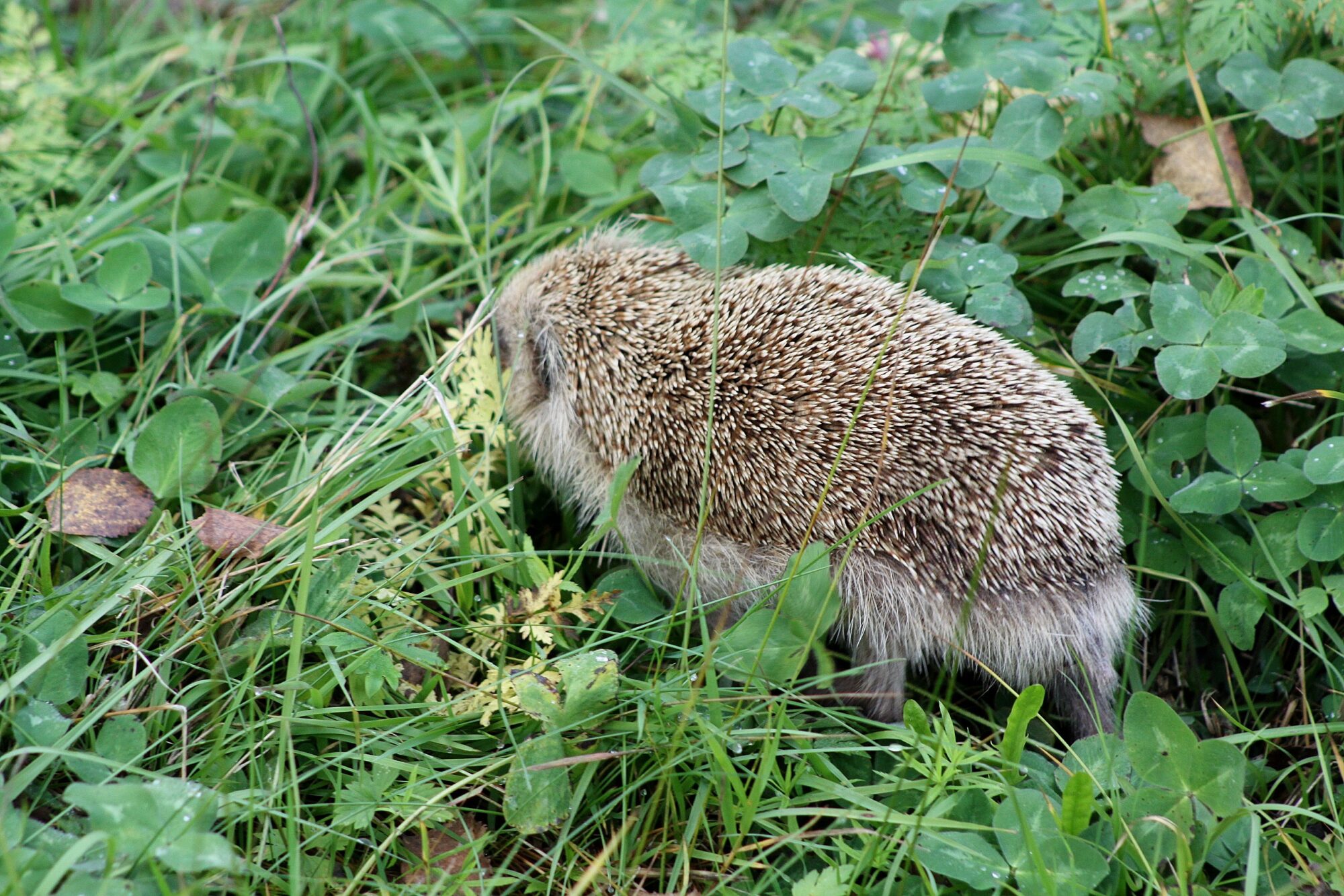Valokuvaaja: Pirkko Siukonen