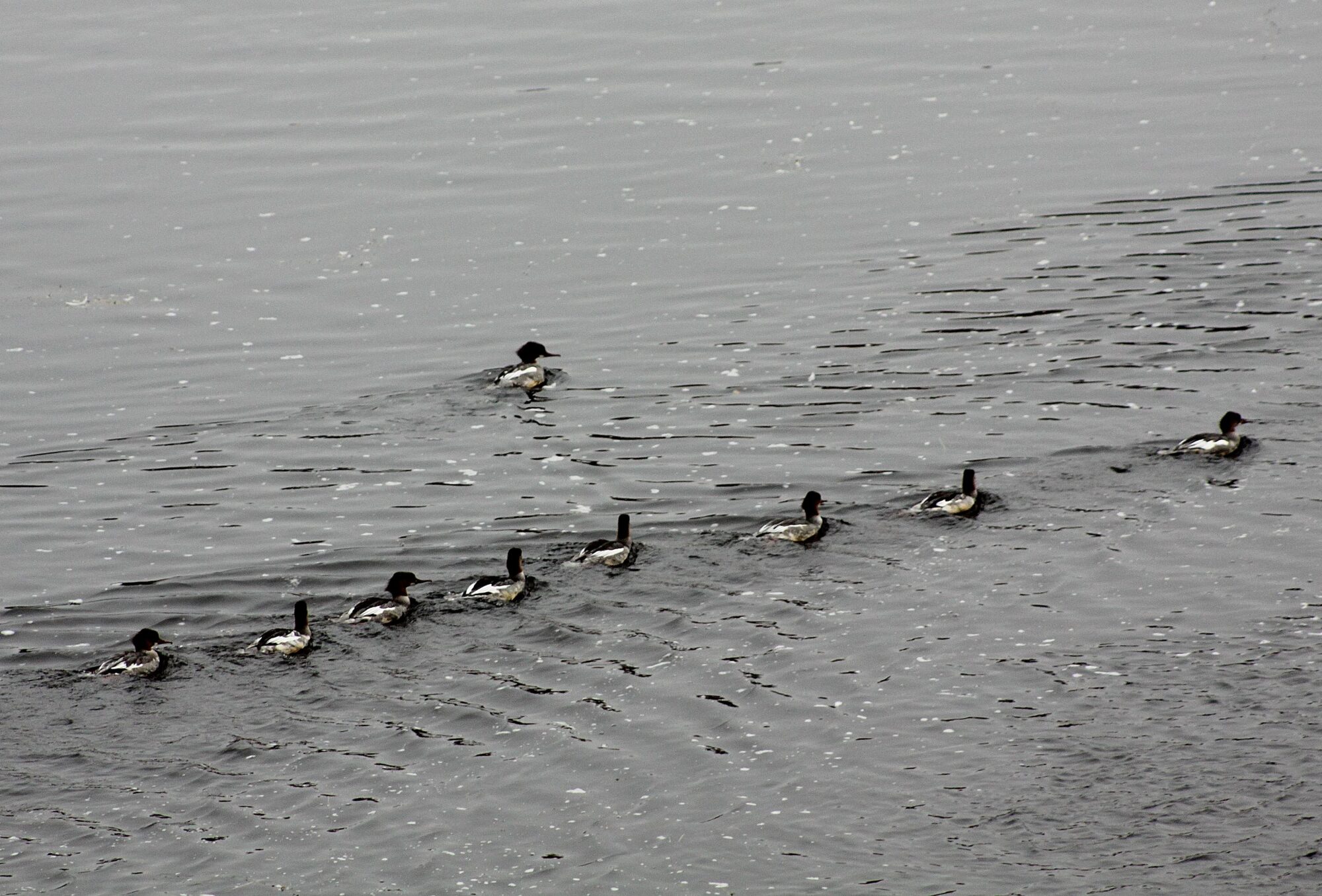 Valokuvaaja: Pirkko Siukonen