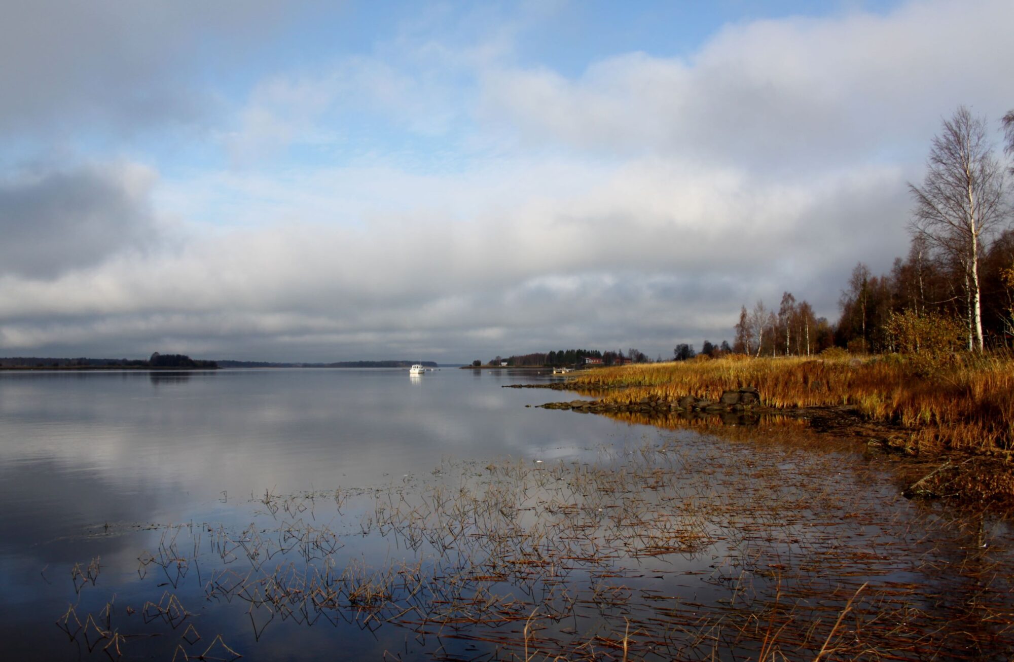 Valokuvaaja: Pirkko Siukonen Valokuvaaja: Pirkko Siukonen