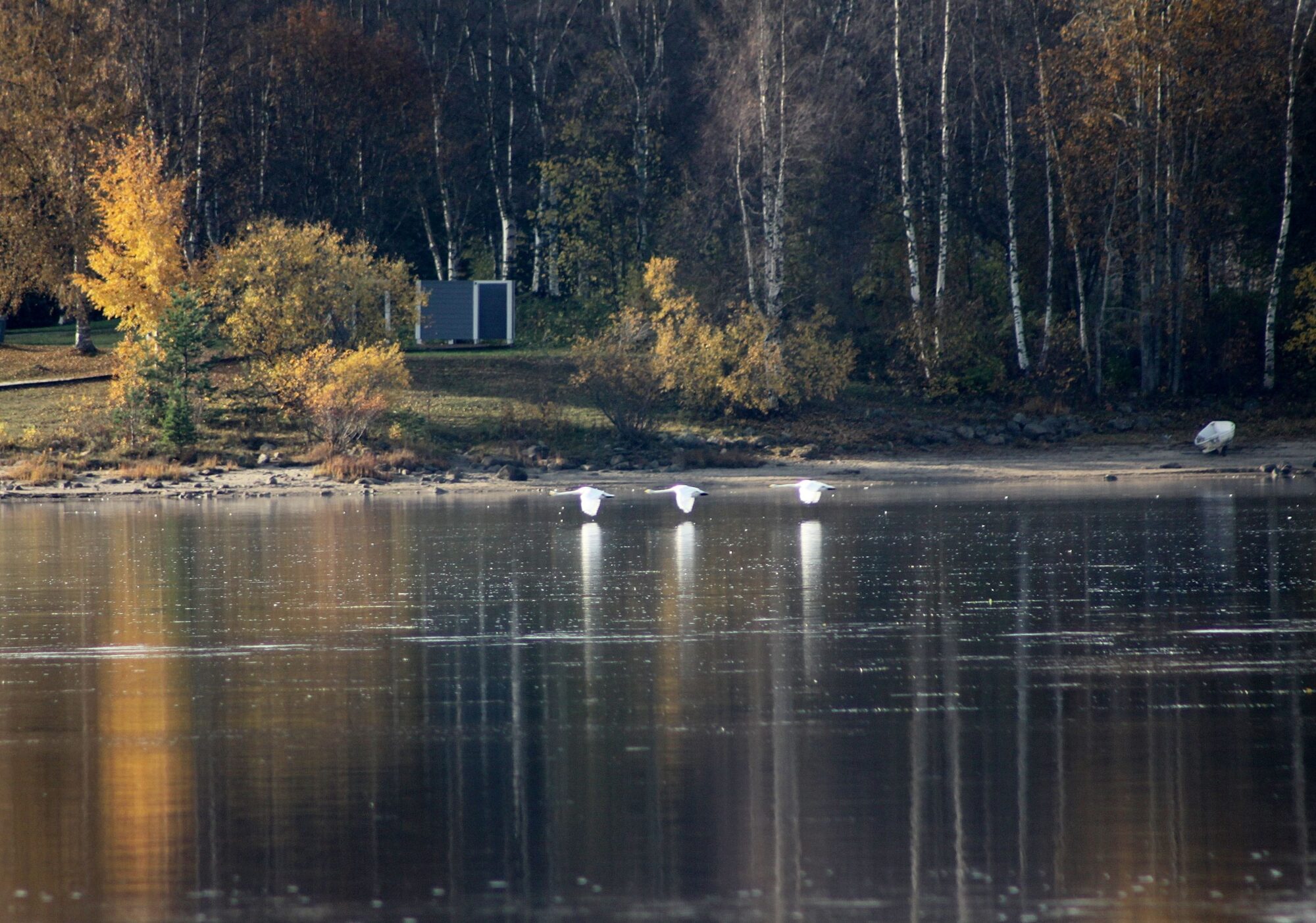 Valokuvaaja: Pirkko Siukonen