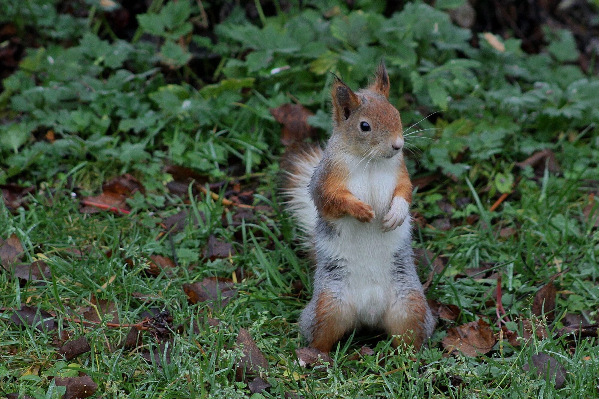 Valokuvaaja: Pirkko Siukonen