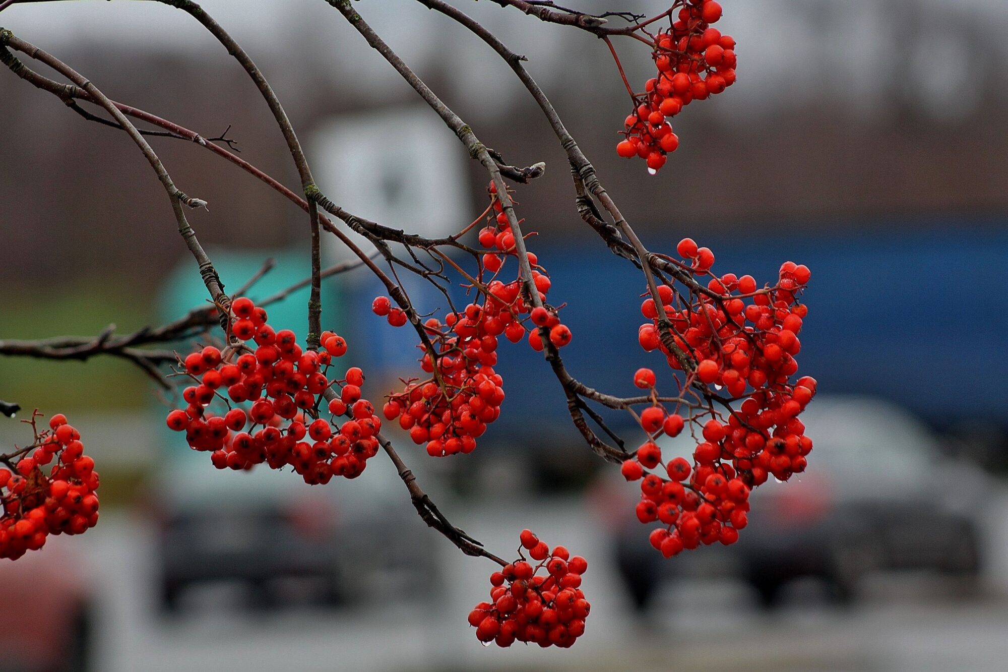 Valokuvaaja: Pirkko Siukonen Valokuvaaja: Pirkko Siukonen