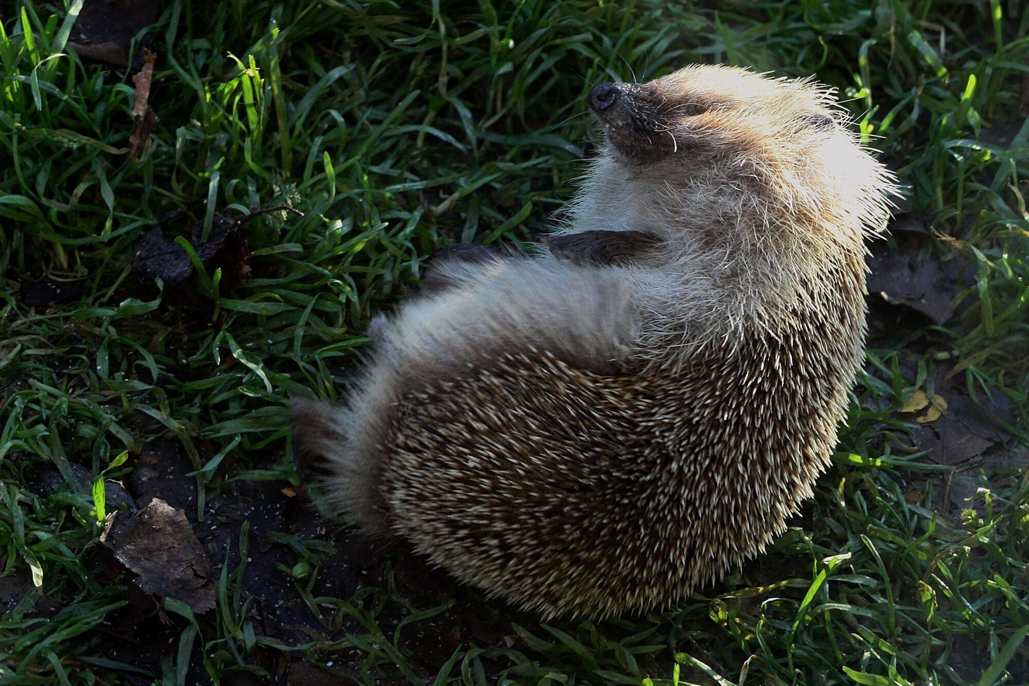 Valokuvaaja: Pirkko Siukonen