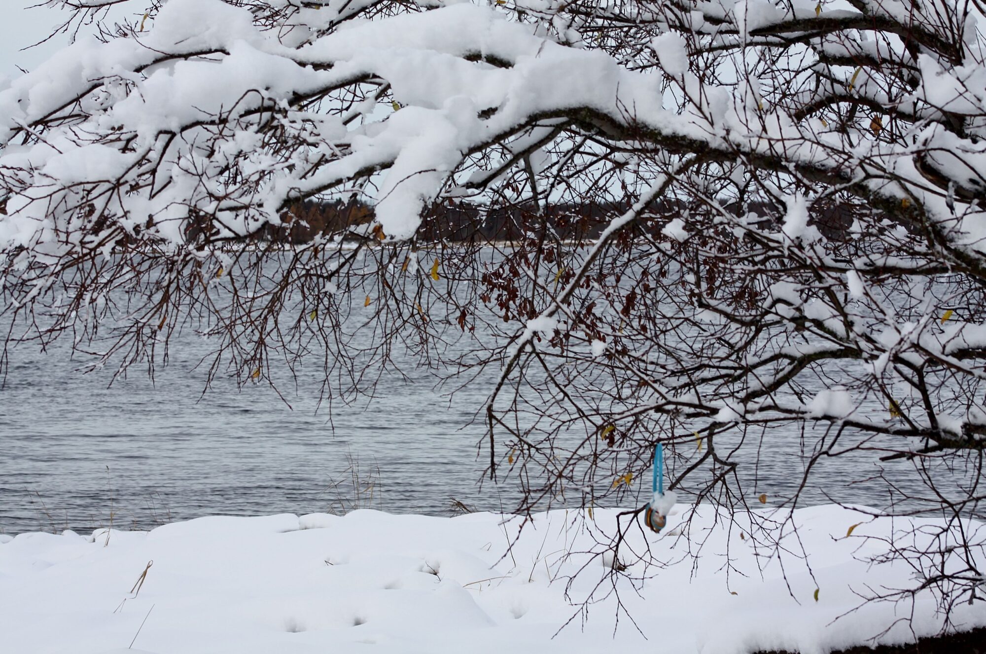 Valokuvaaja: Pirkko Siukonen