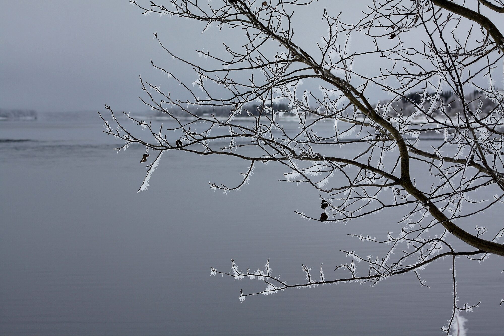 Valokuvaaja: Pirkko Siukonen