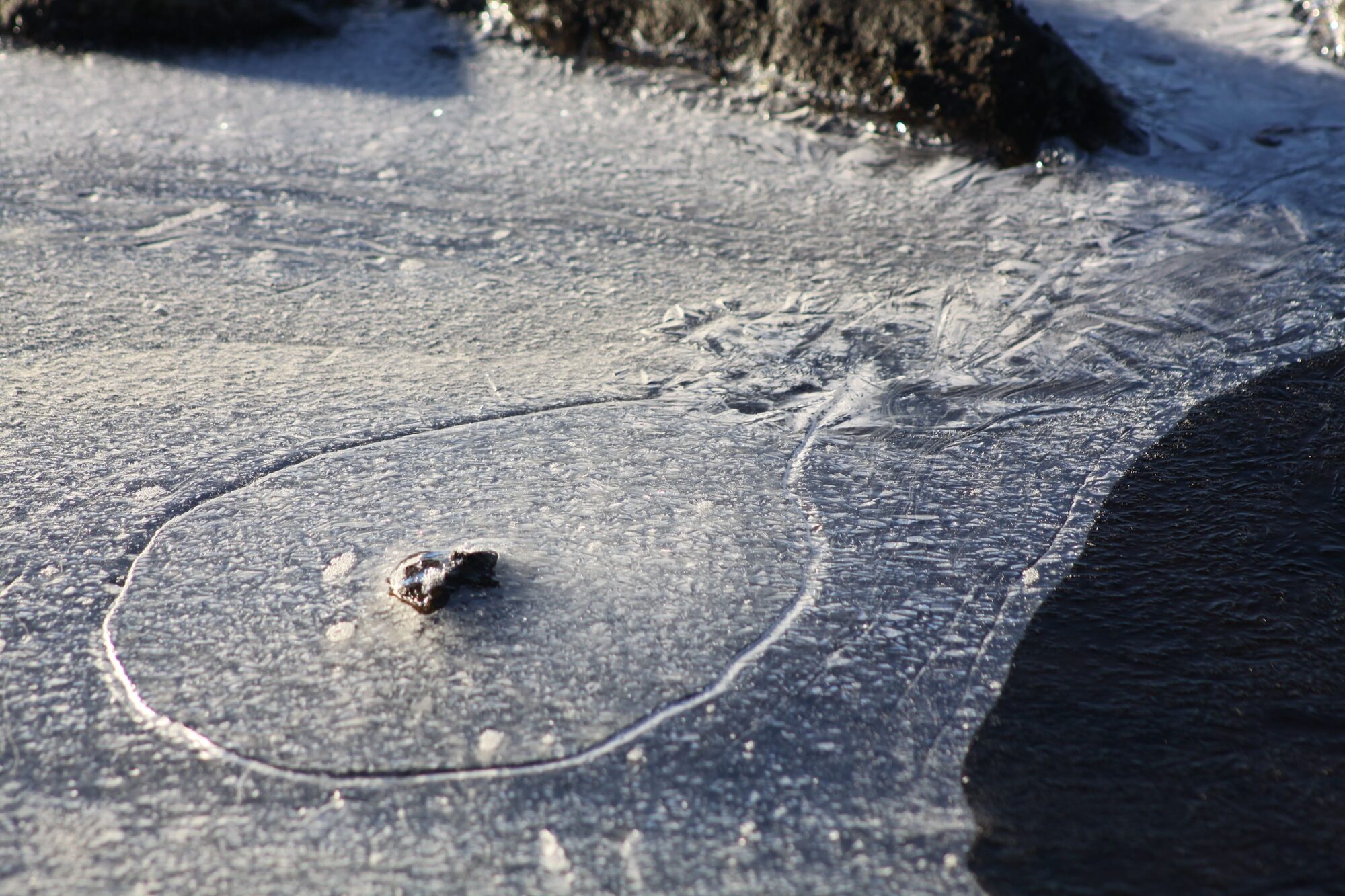 Valokuvaaja: Pirkko Siukonen