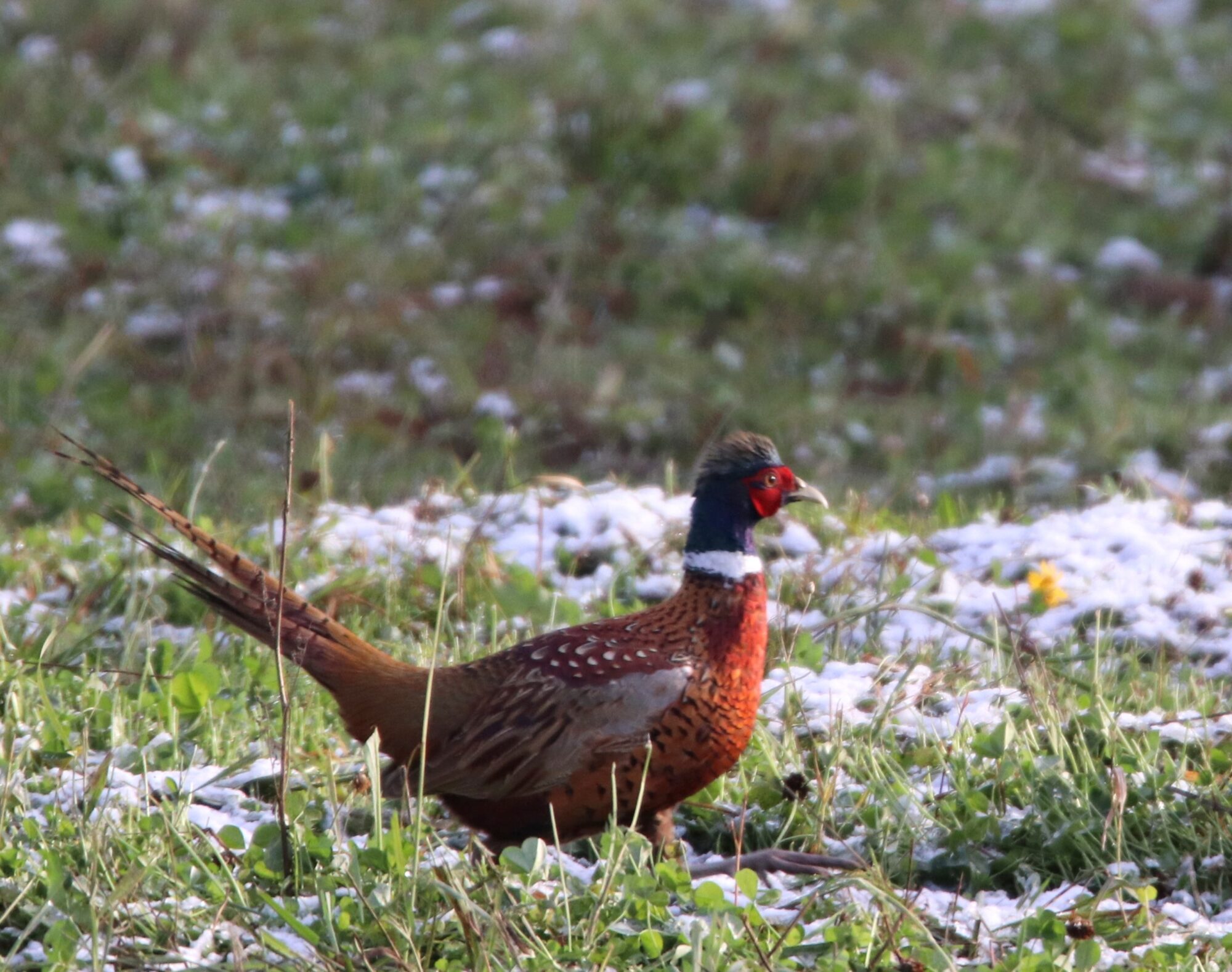 Valokuvaaja: Irja Lehtinen Valokuvaaja: Irja Lehtinen
