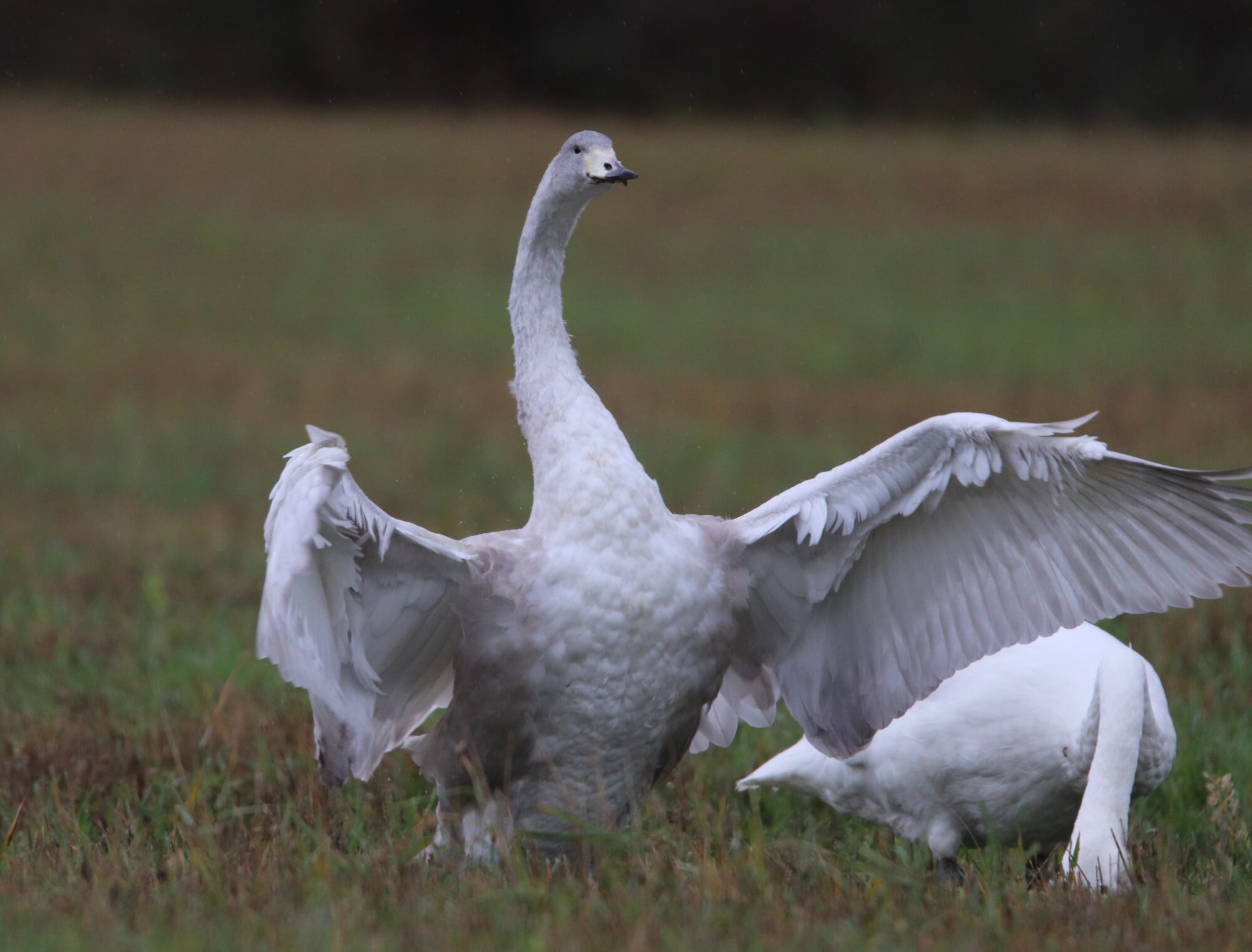 Valokuvaaja: Irja Lehtinen