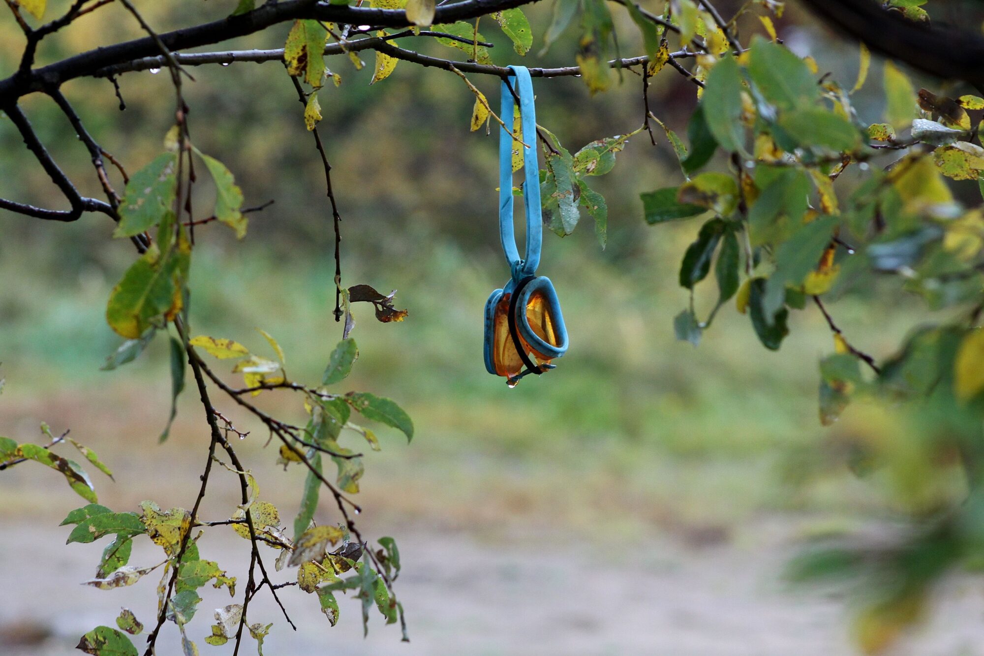 Valokuvaaja: Pirkko Siukonen