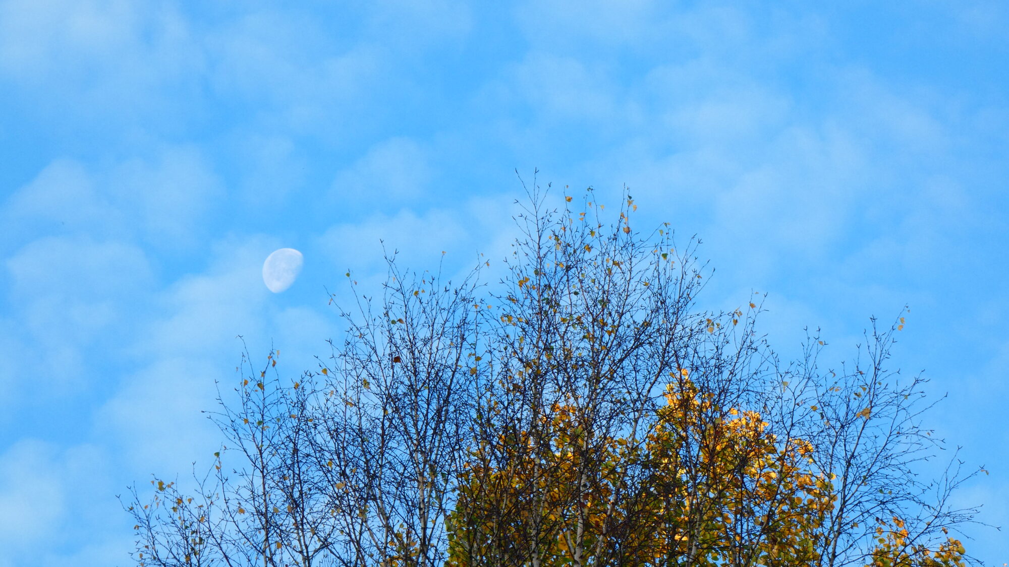 Valokuvaaja: Pekka Heino