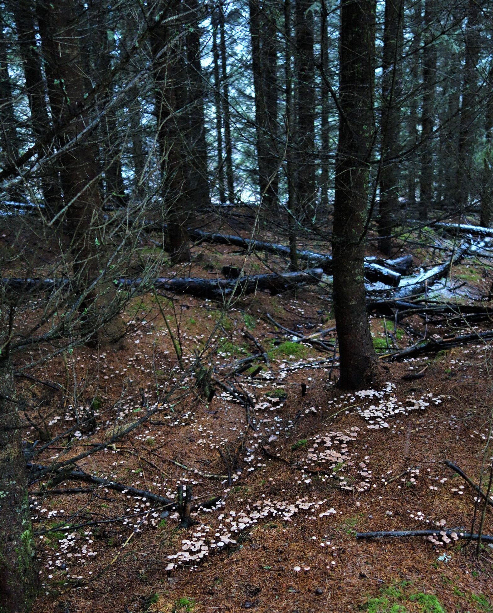 Valokuvaaja: Kaarina Heiskanen