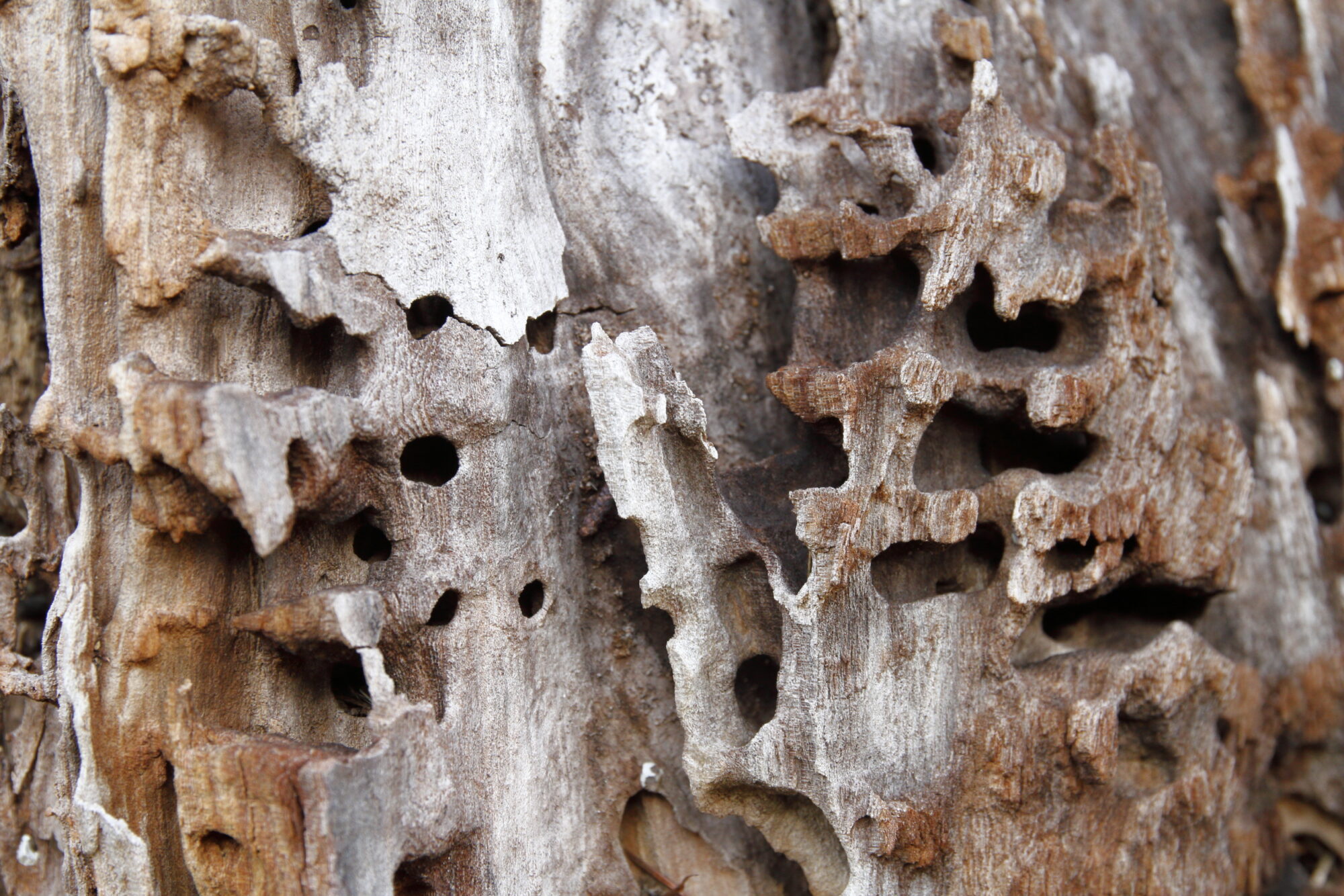 Valokuvaaja: Lasse Kokko