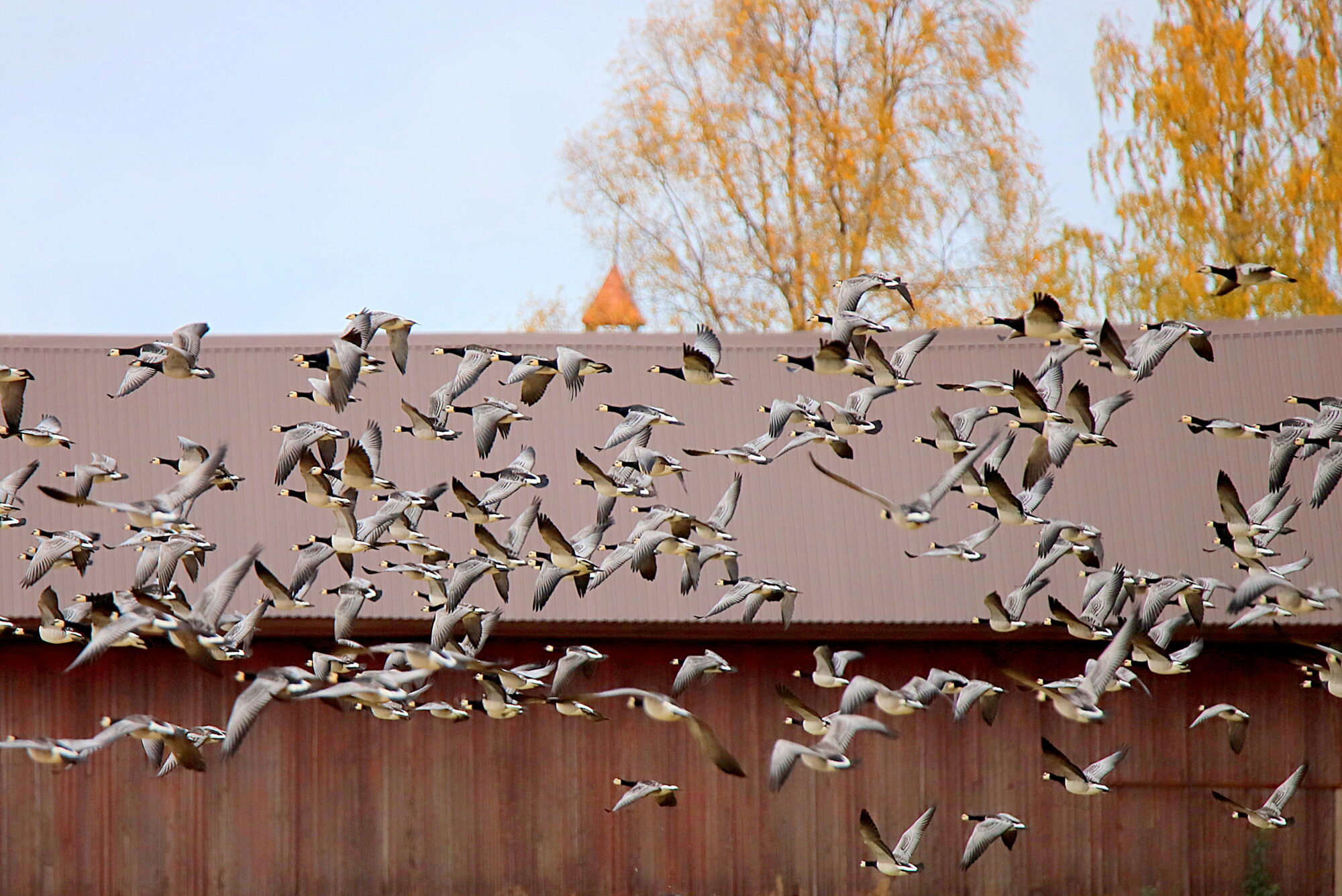 Valokuvaaja: sirpa jyske