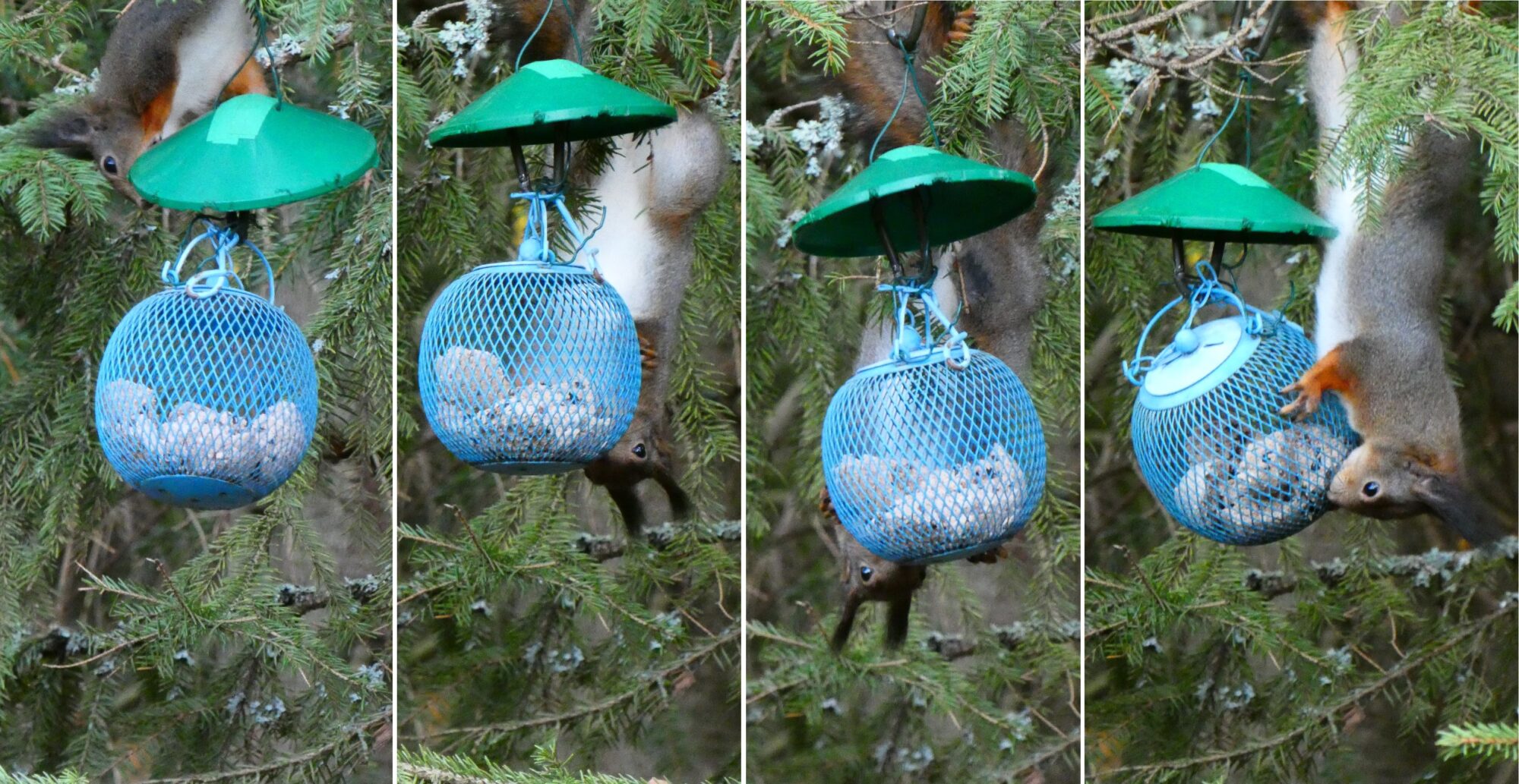 Valokuvaaja: Pekka Heino