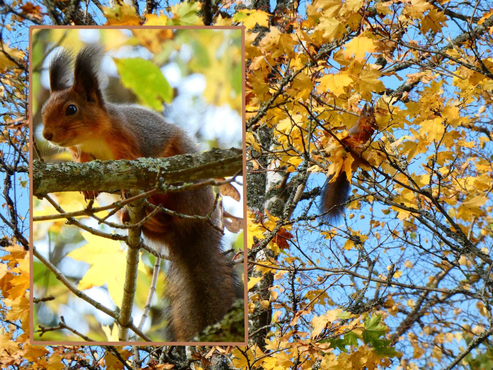 Valokuvaaja: Pekka Heino