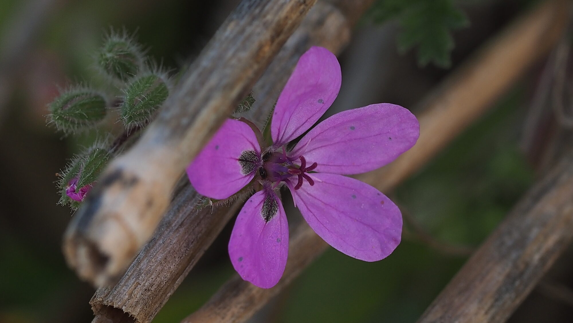 Valokuvaaja: Arja Valtonen
