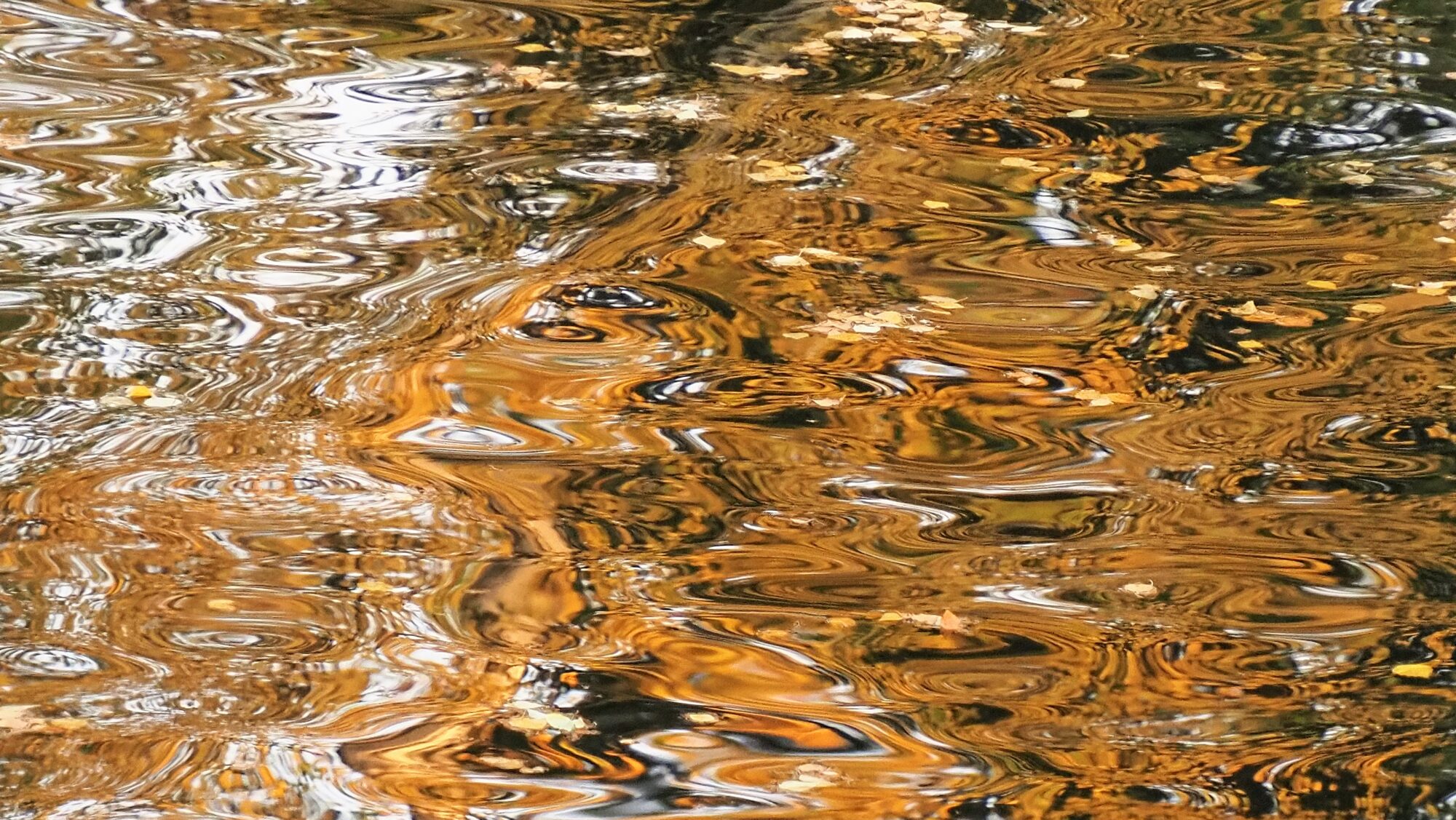 Valokuvaaja: Arja Valtonen