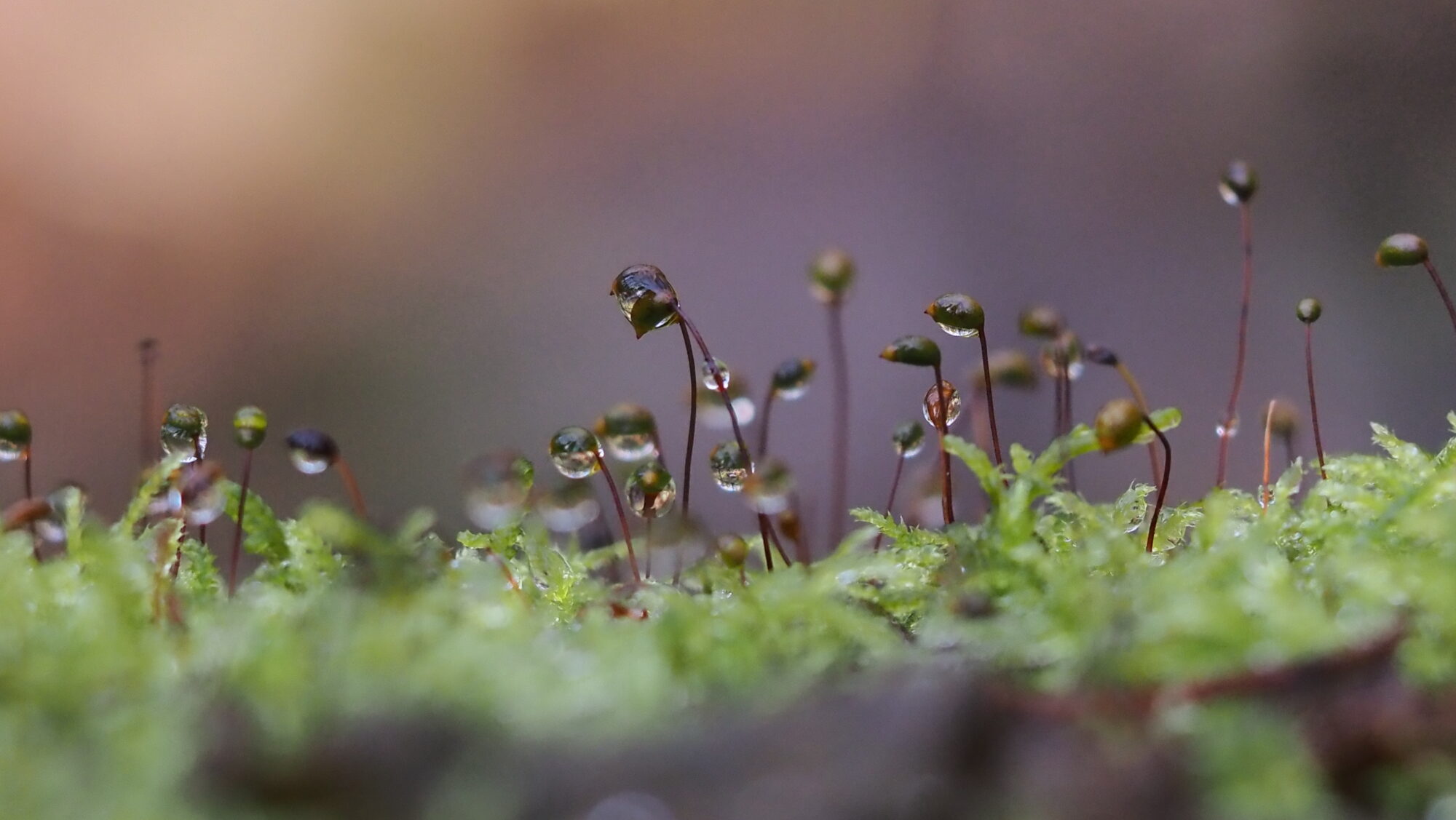 Valokuvaaja: Arja Valtonen