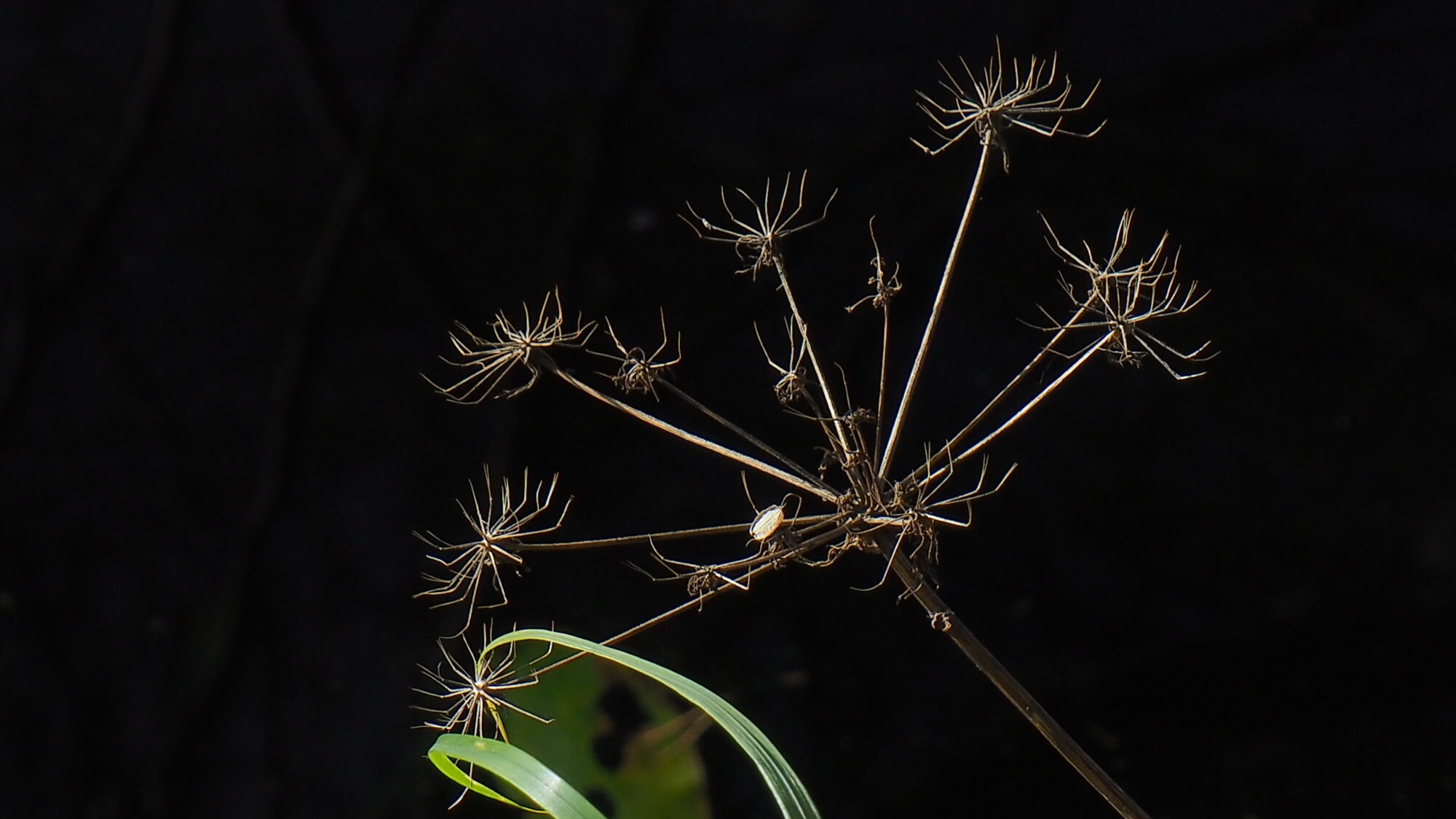 Valokuvaaja: Martti Valtonen