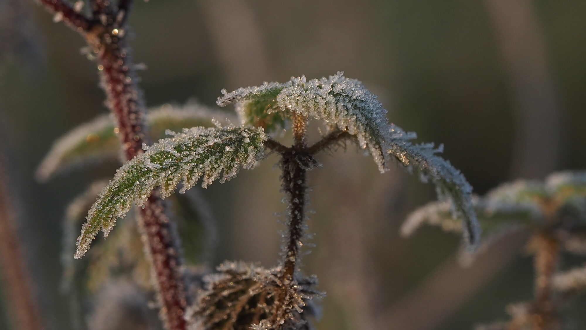 Valokuvaaja: Arja Valtonen