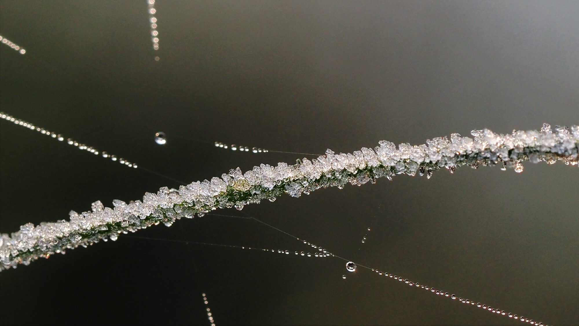 Valokuvaaja: Arja Valtonen