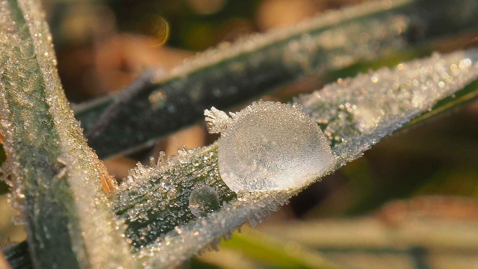 Valokuvaaja: Martti Valtonen