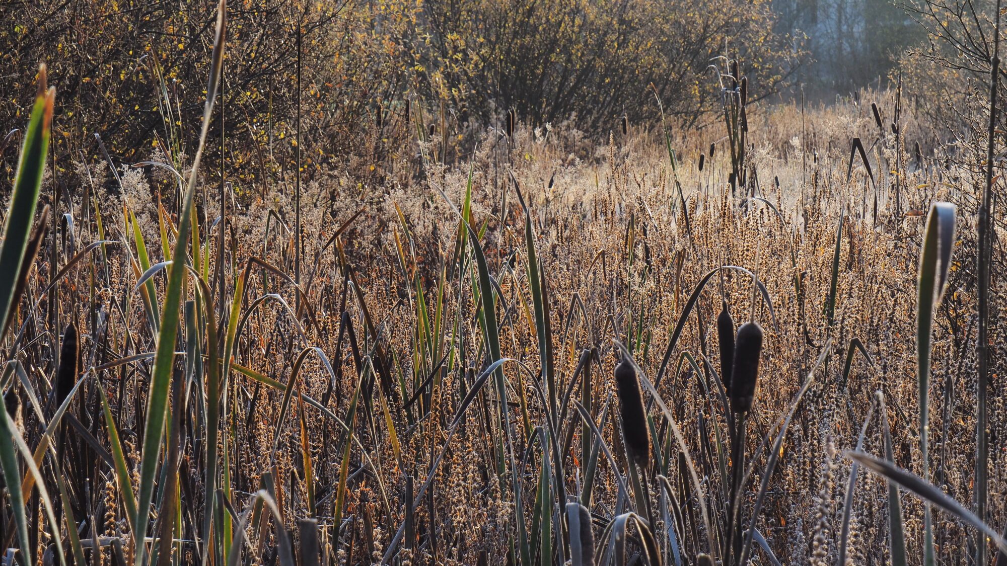 Valokuvaaja: Martti Valtonen